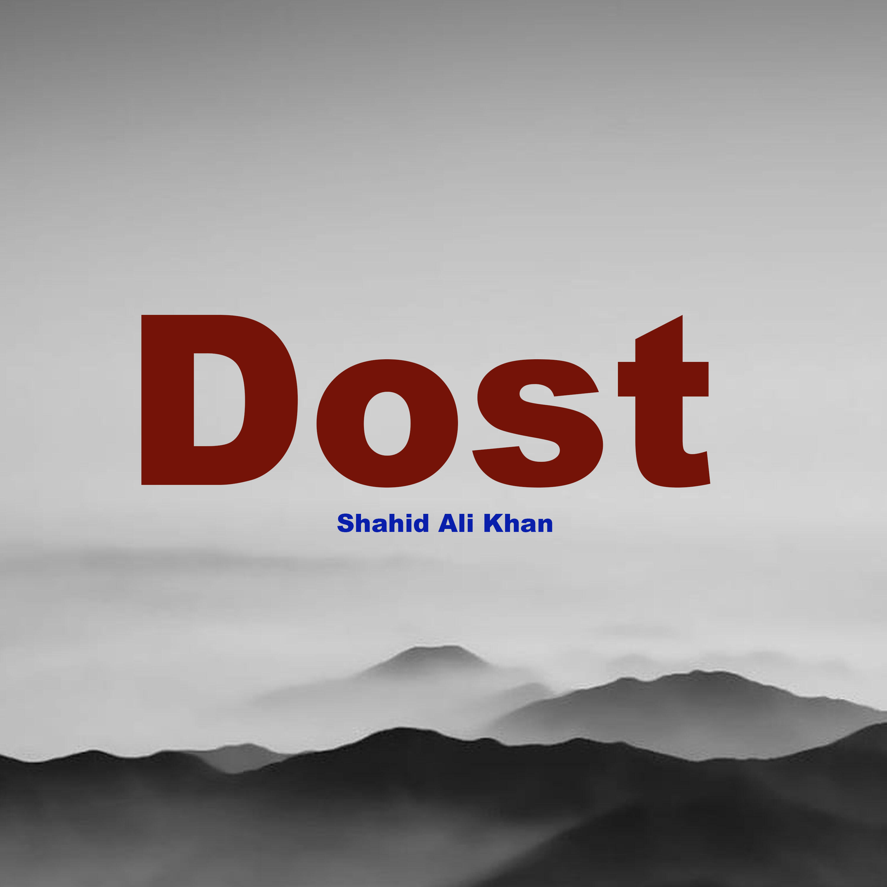 Релиз Dost