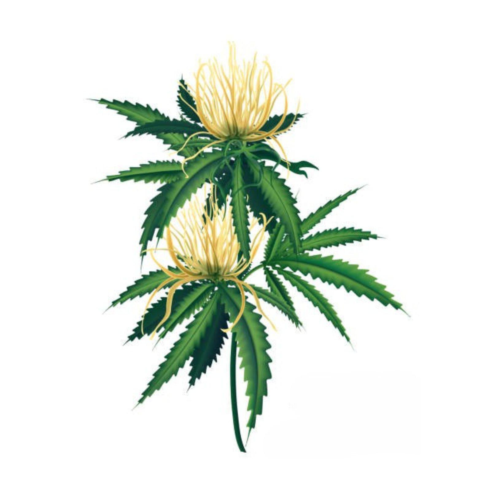 Релиз Flowers
