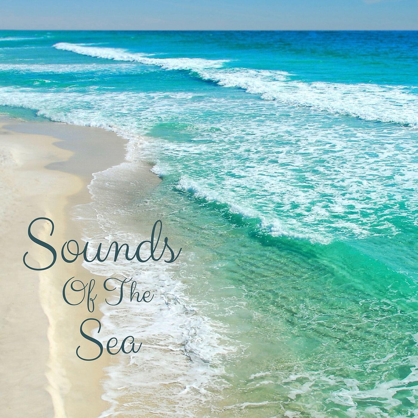 Релиз Sounds of the Sea