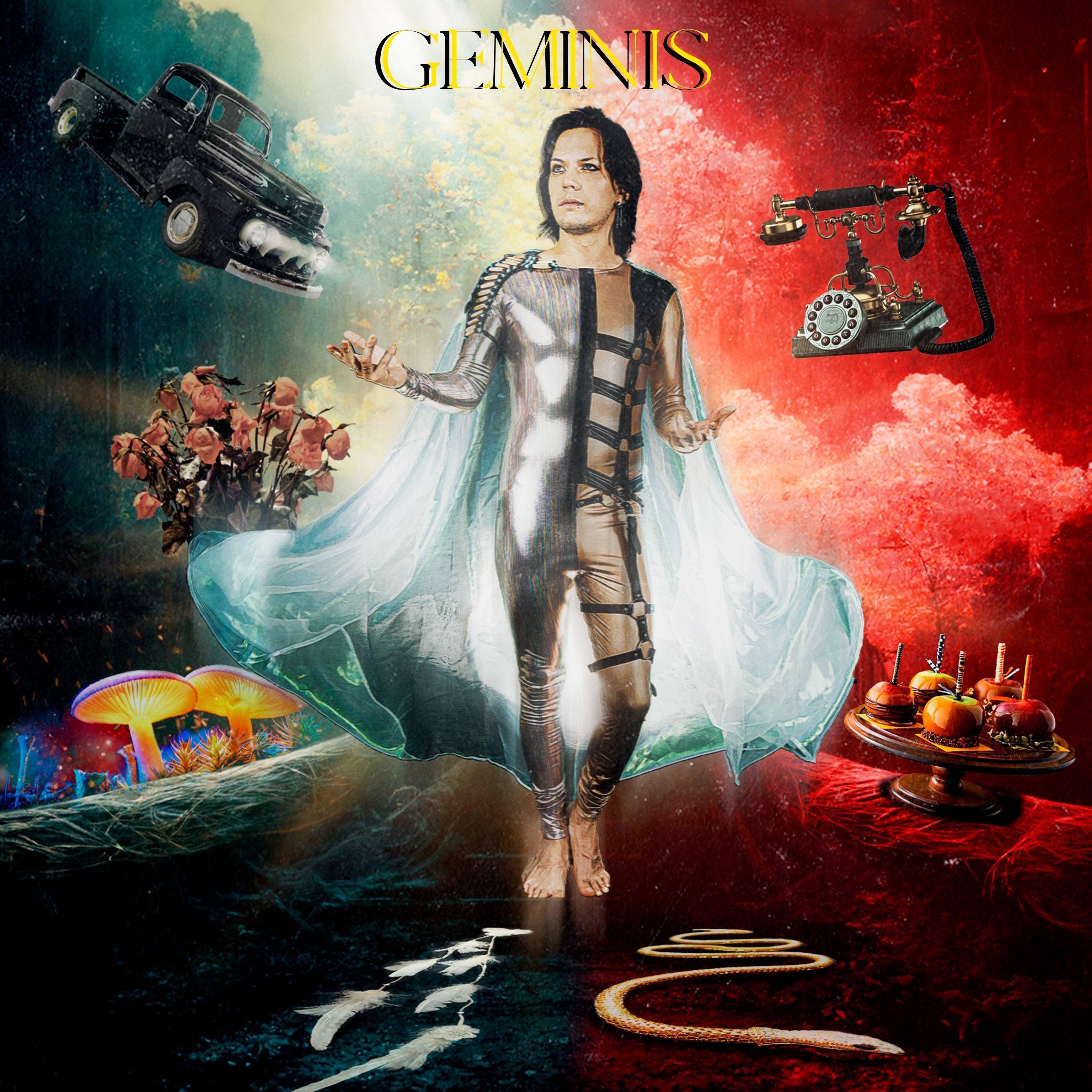 Постер альбома Geminis