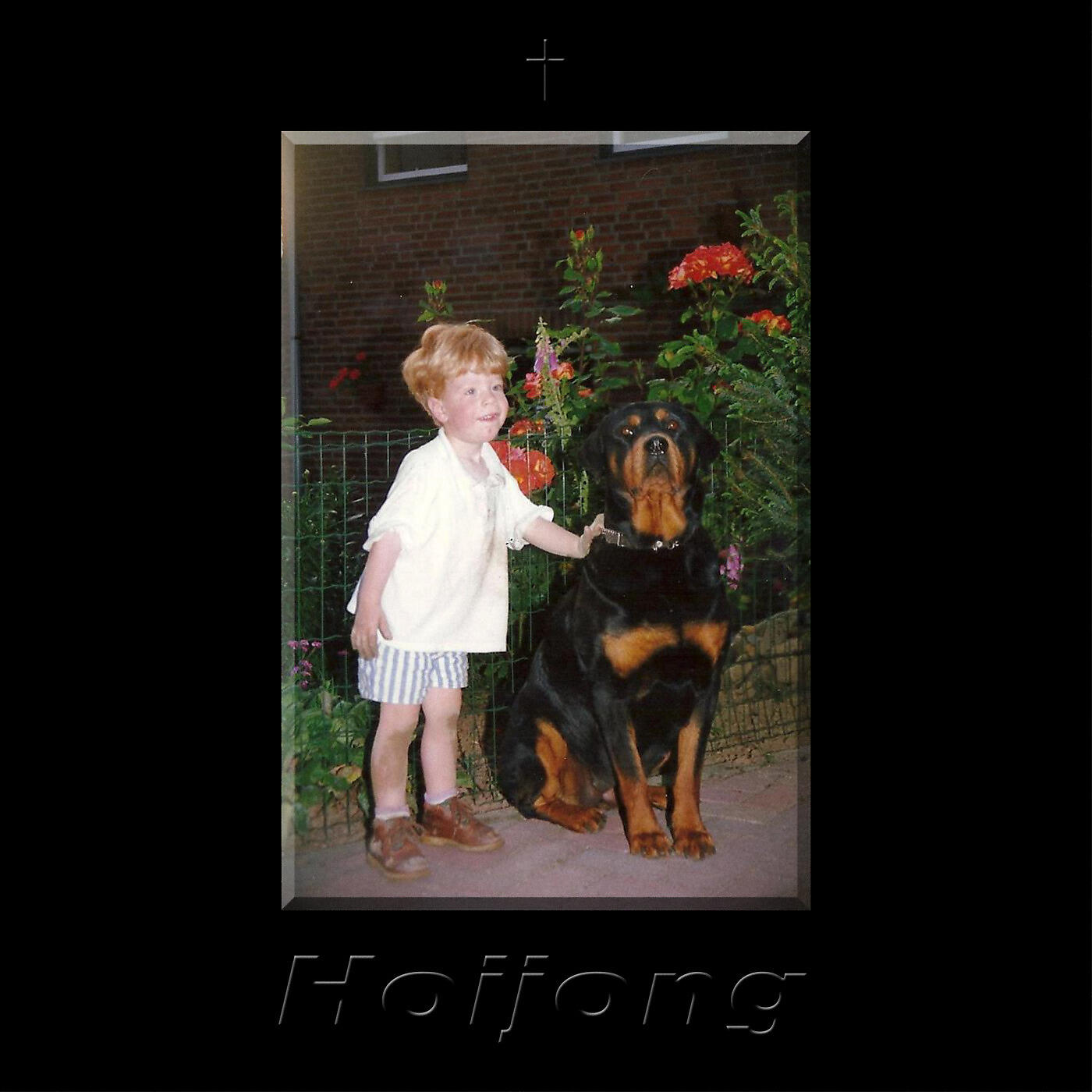 Релиз Hoijong