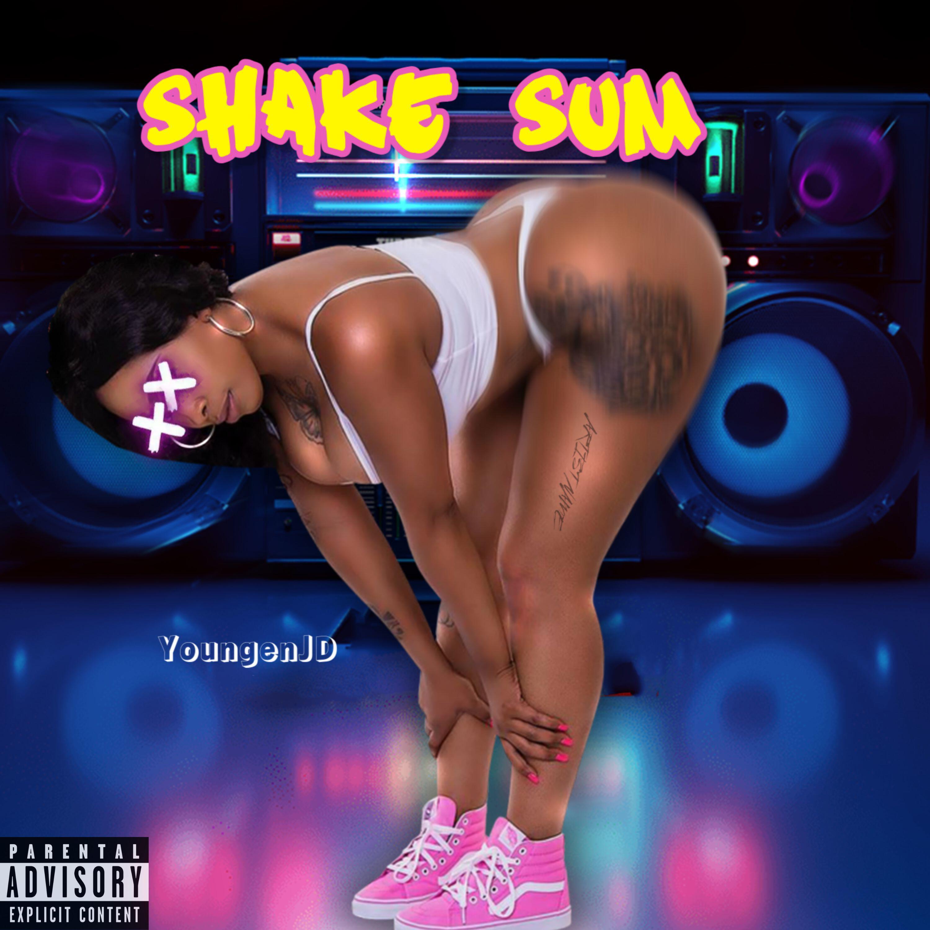 Постер альбома Shake Sum