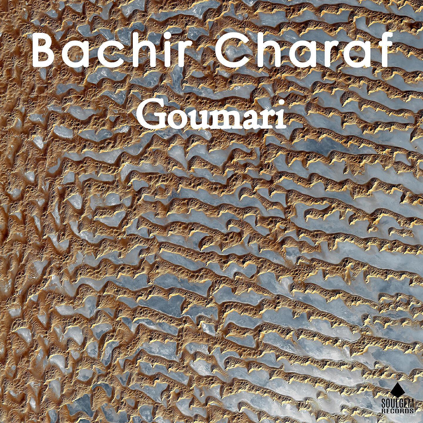 Bachir Charaf