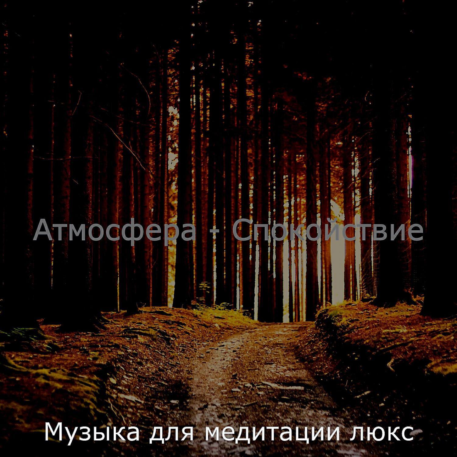 Музыка для медитации люкс