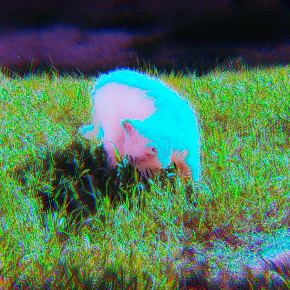 Релиз afterlife.exe