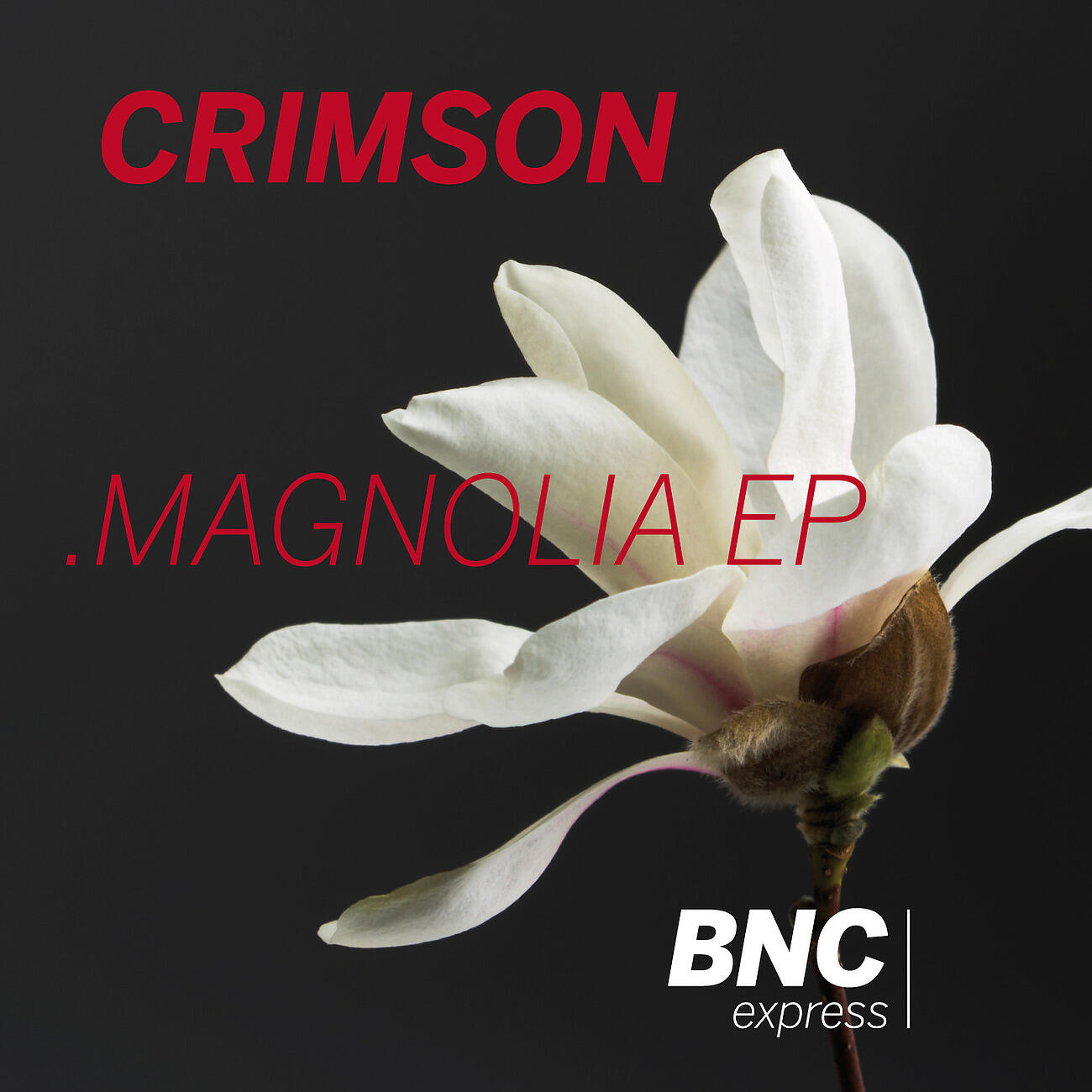 Релиз Magnolia EP