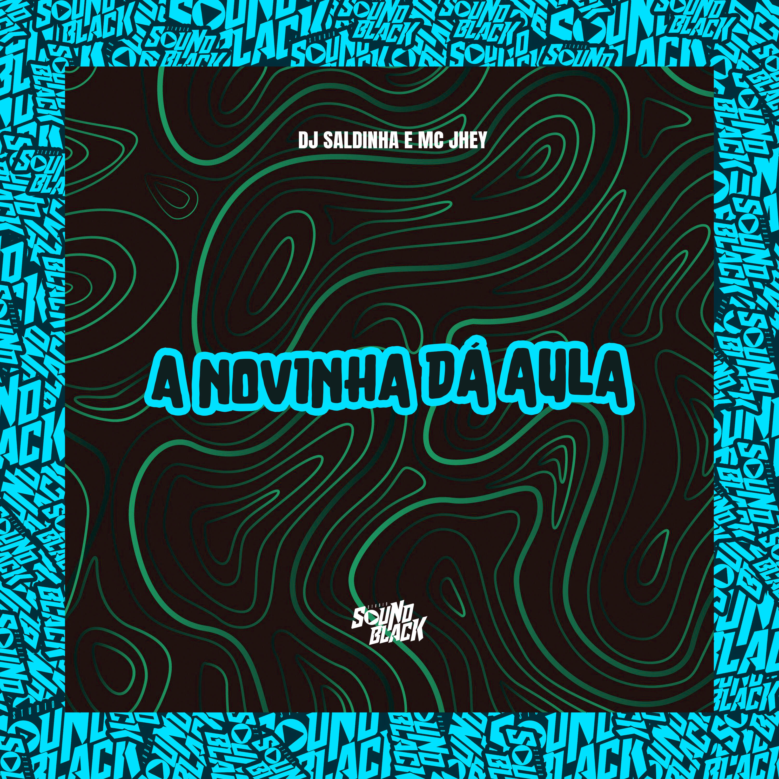 Постер альбома A Novinha Dá Aula