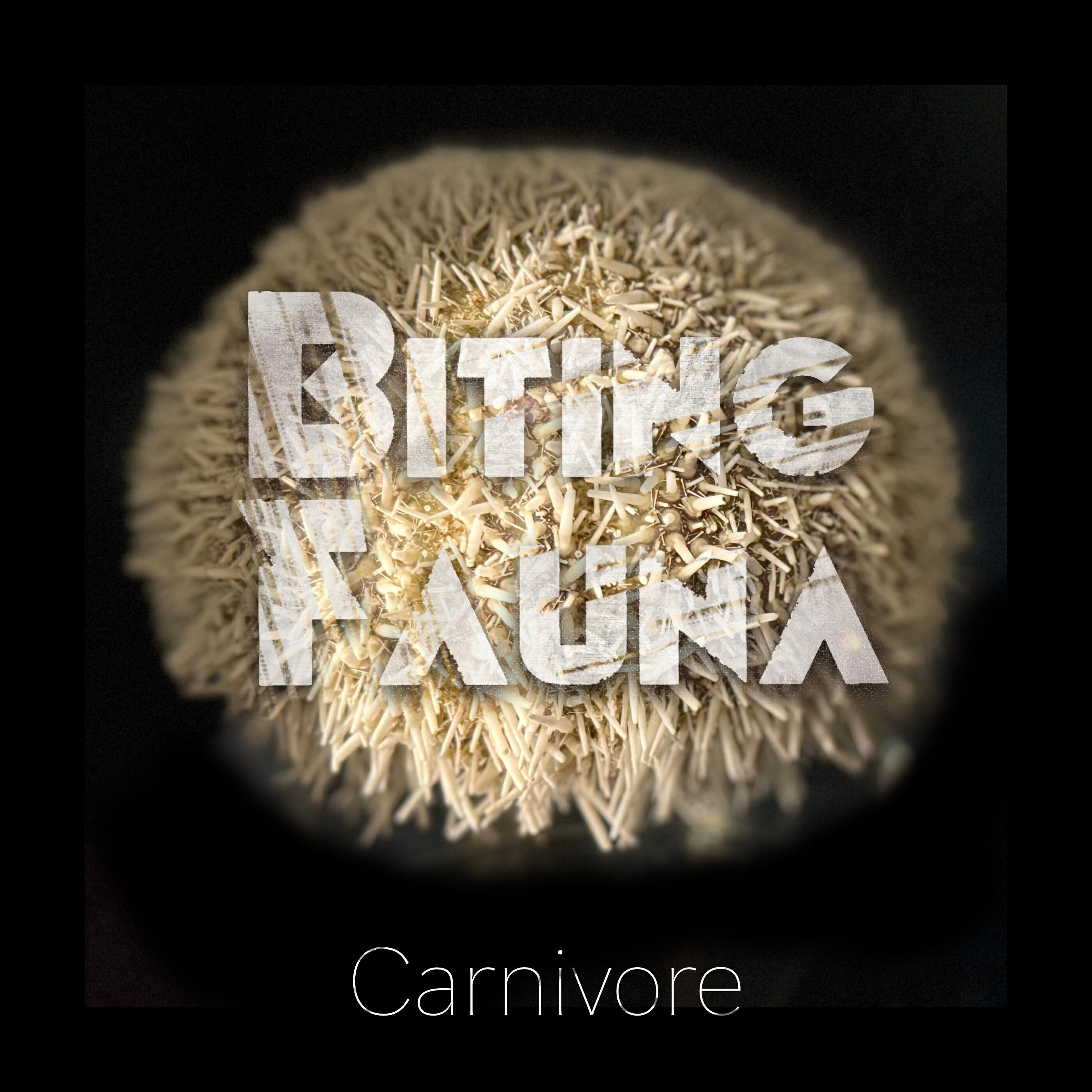 Biting Fauna