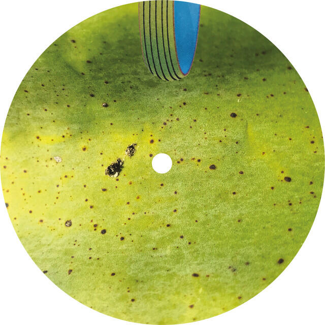 Релиз Lilliputian