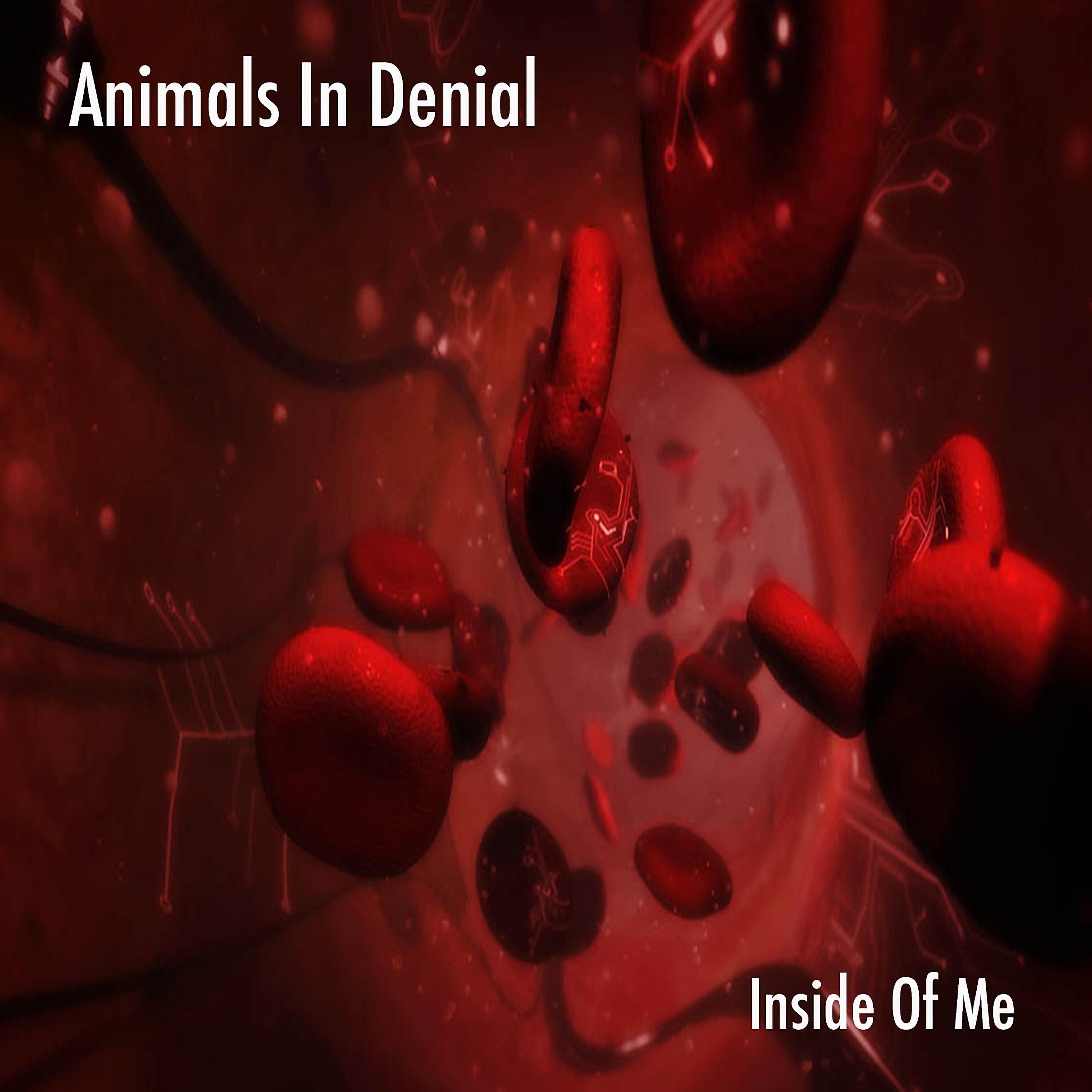 Релиз Inside of Me