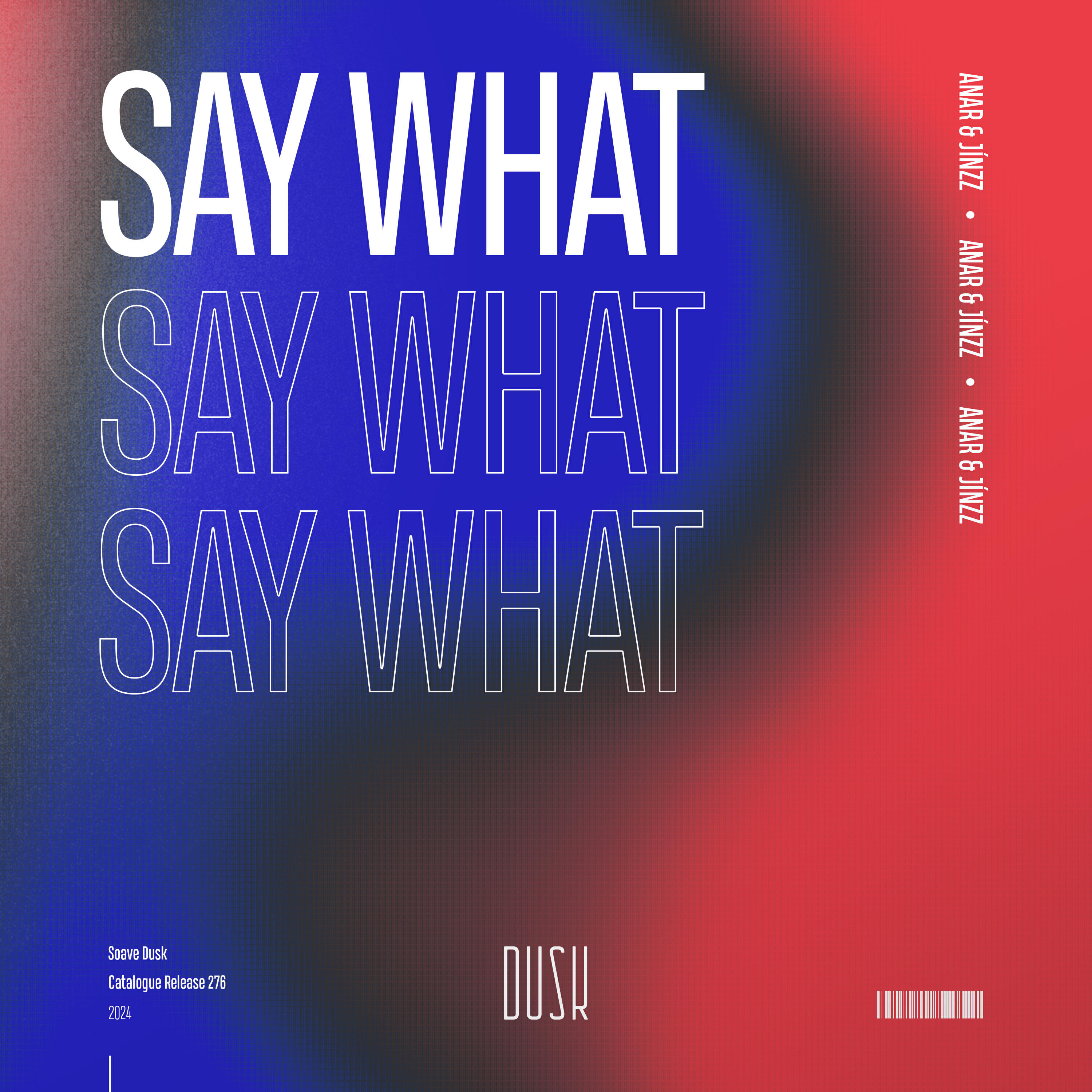 Постер альбома Say What
