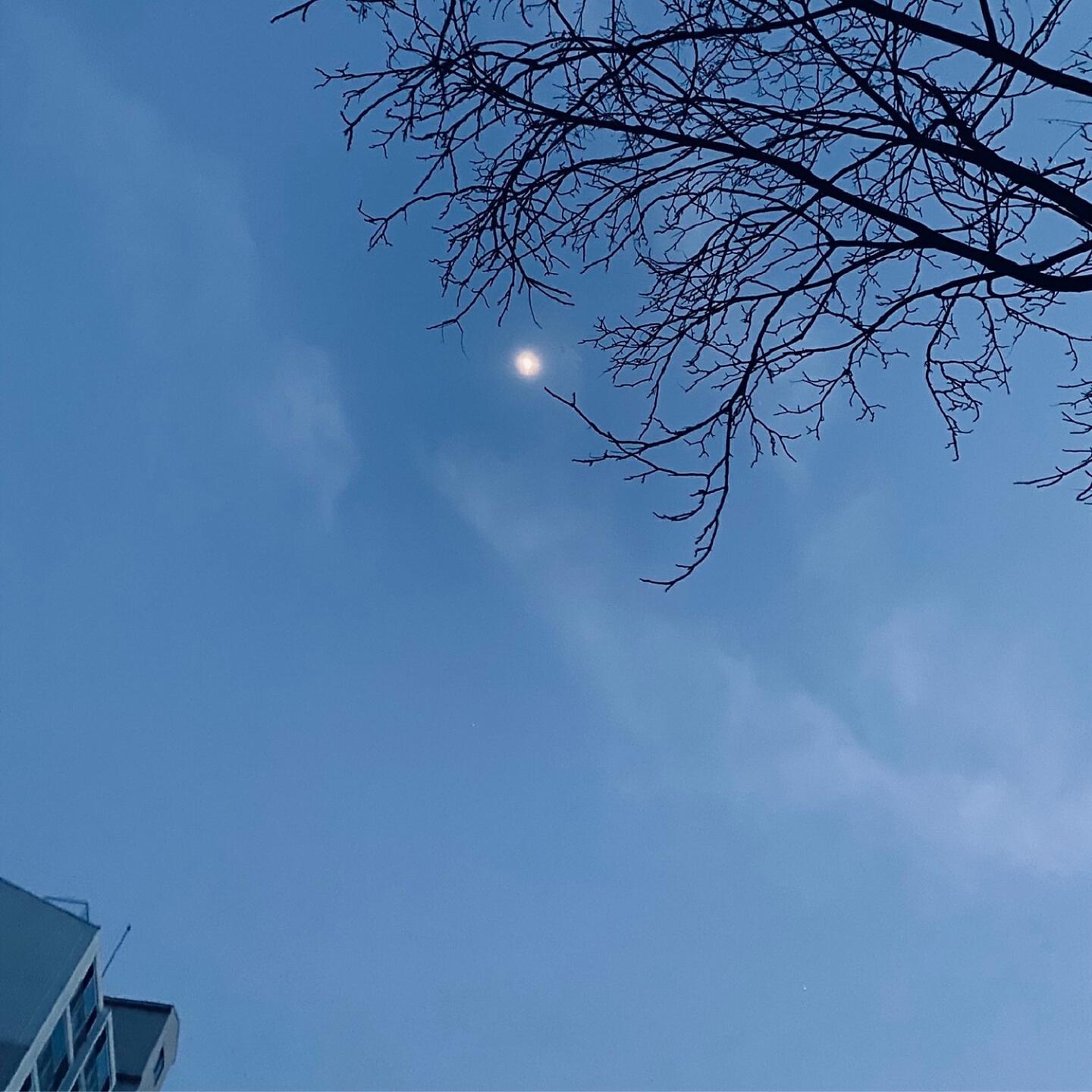 Релиз My Wishes