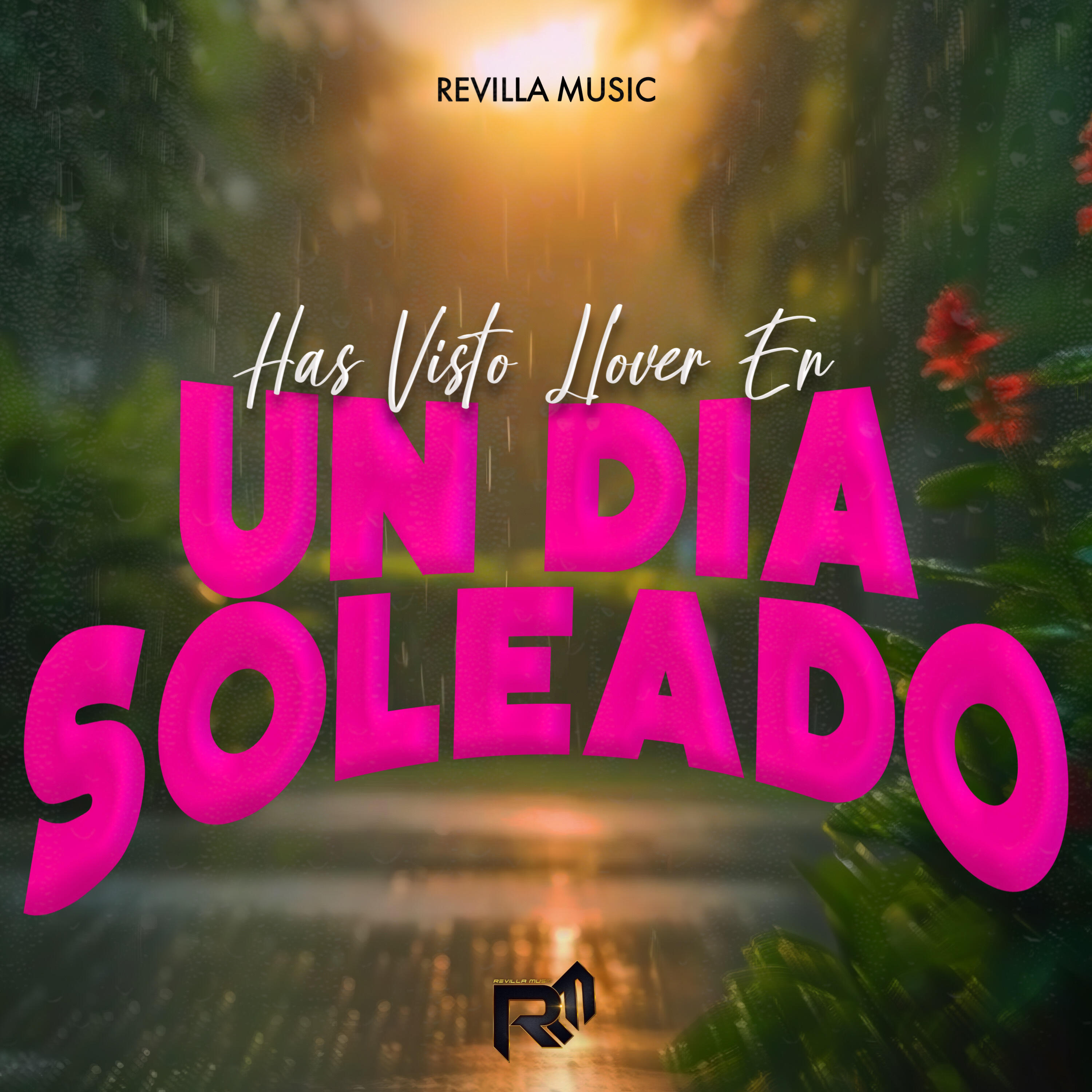 Релиз Has Visto Llover en un Dia Soleado