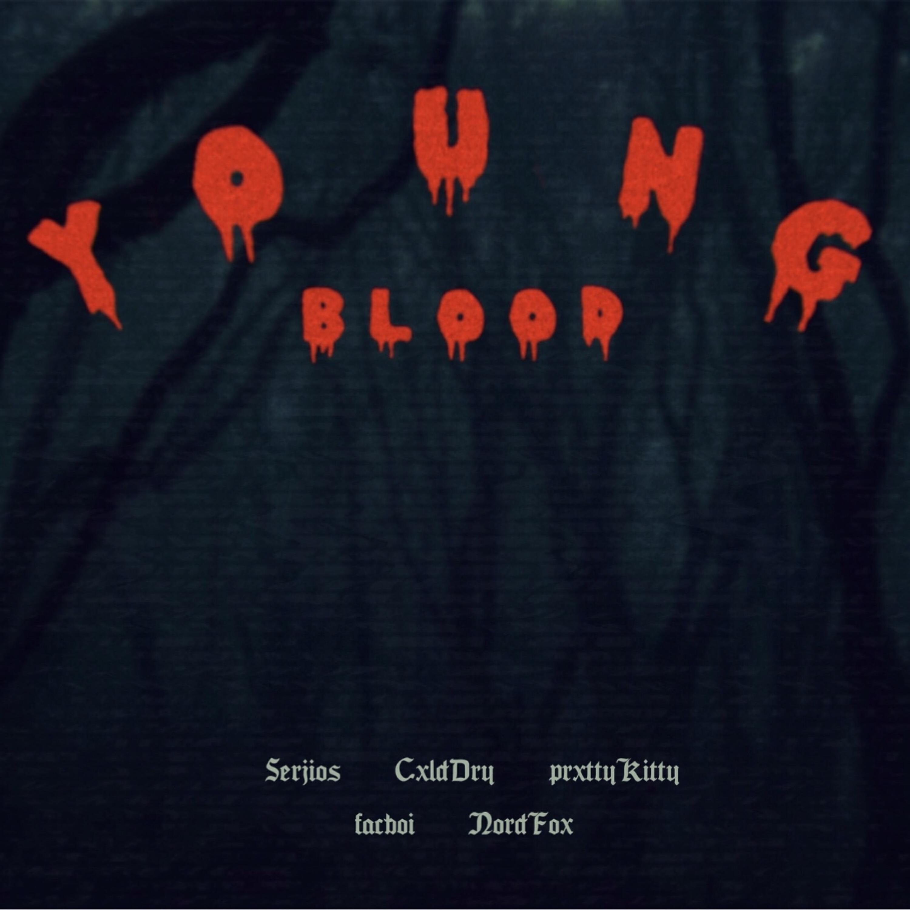 Постер альбома Youngblood