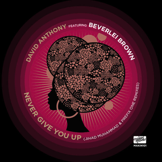 Релиз Never Give You Up (Remixes) (feat. Beverlei Brown)