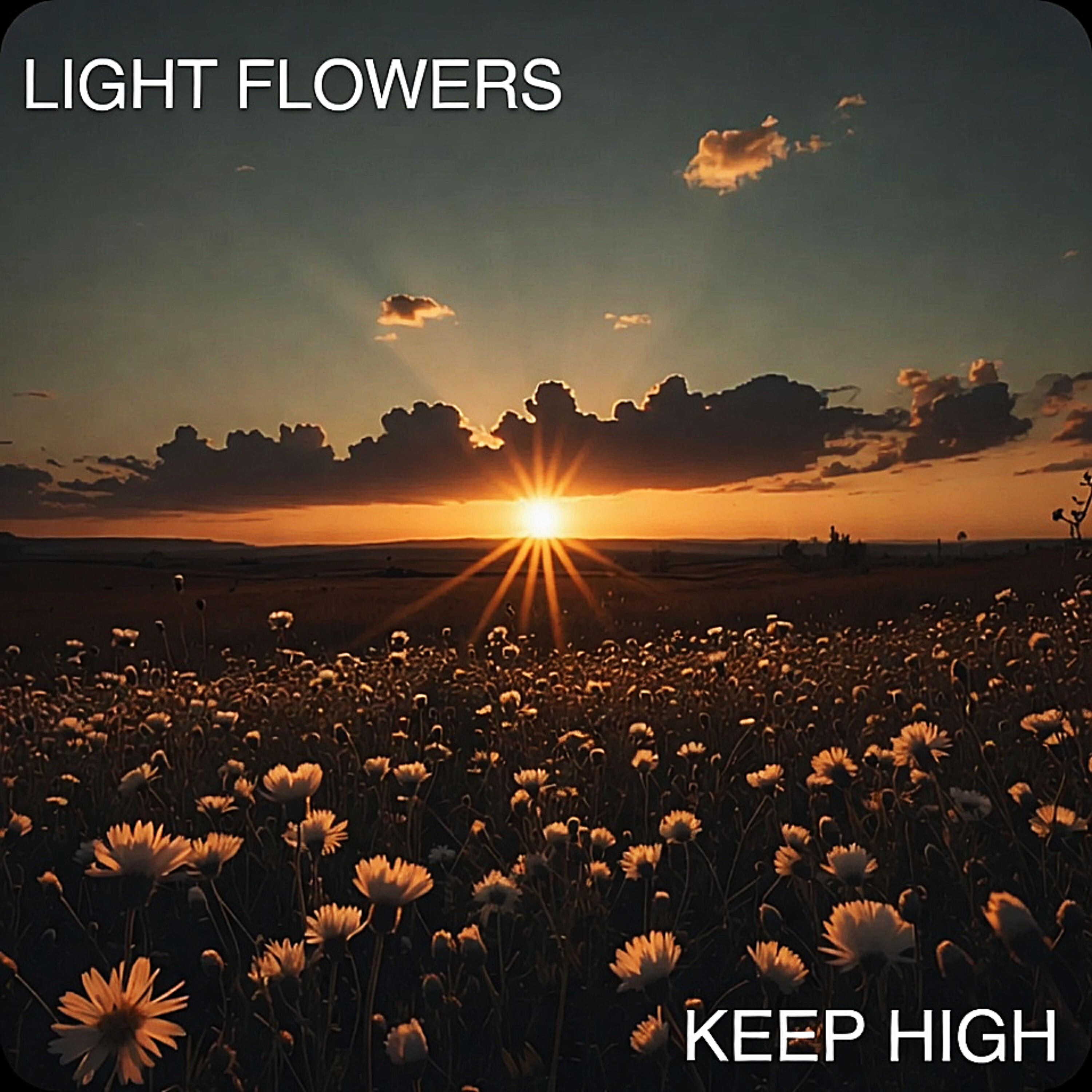 Релиз Light Flowers
