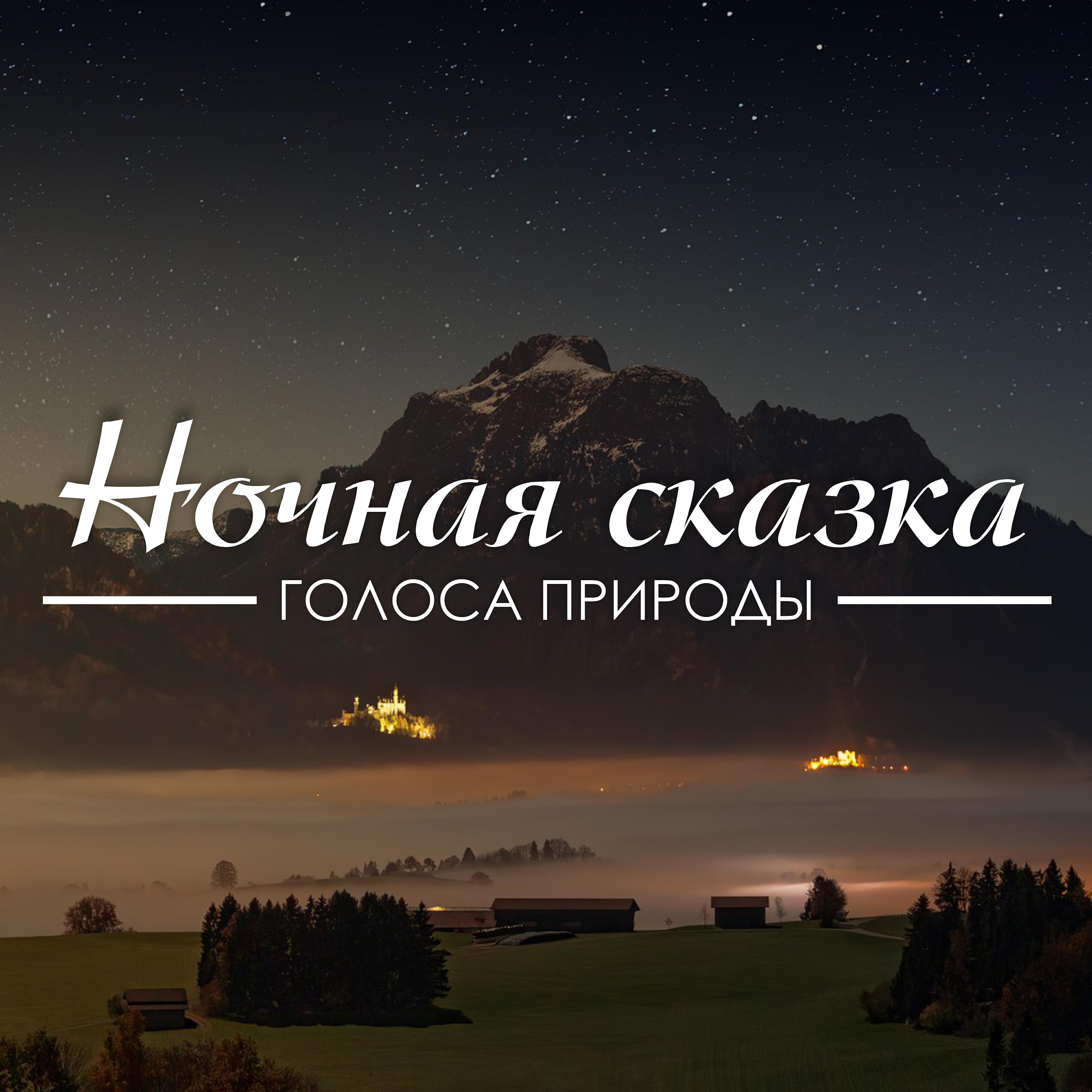Релиз Ночная сказка