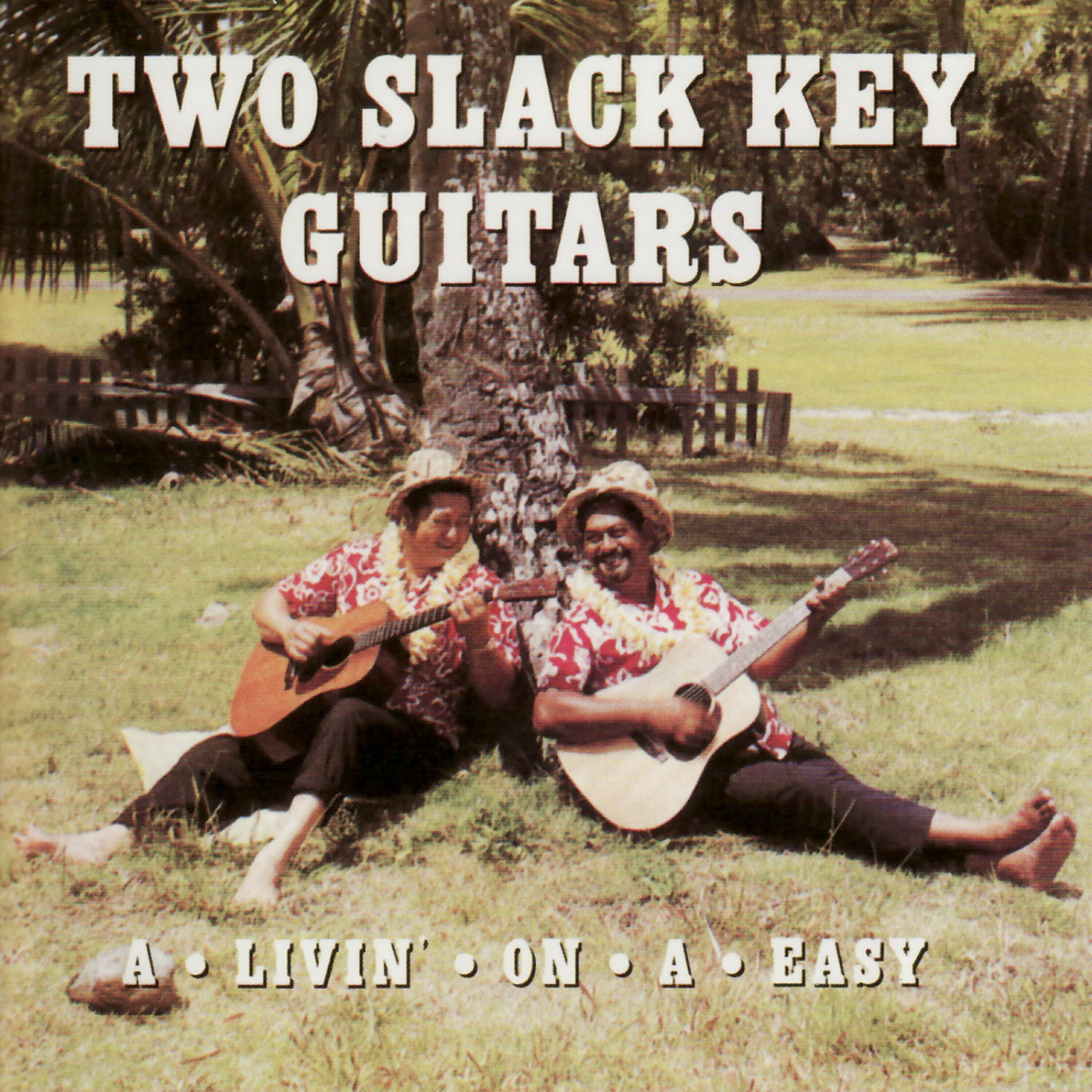 Релиз Two Slack Key Guitars