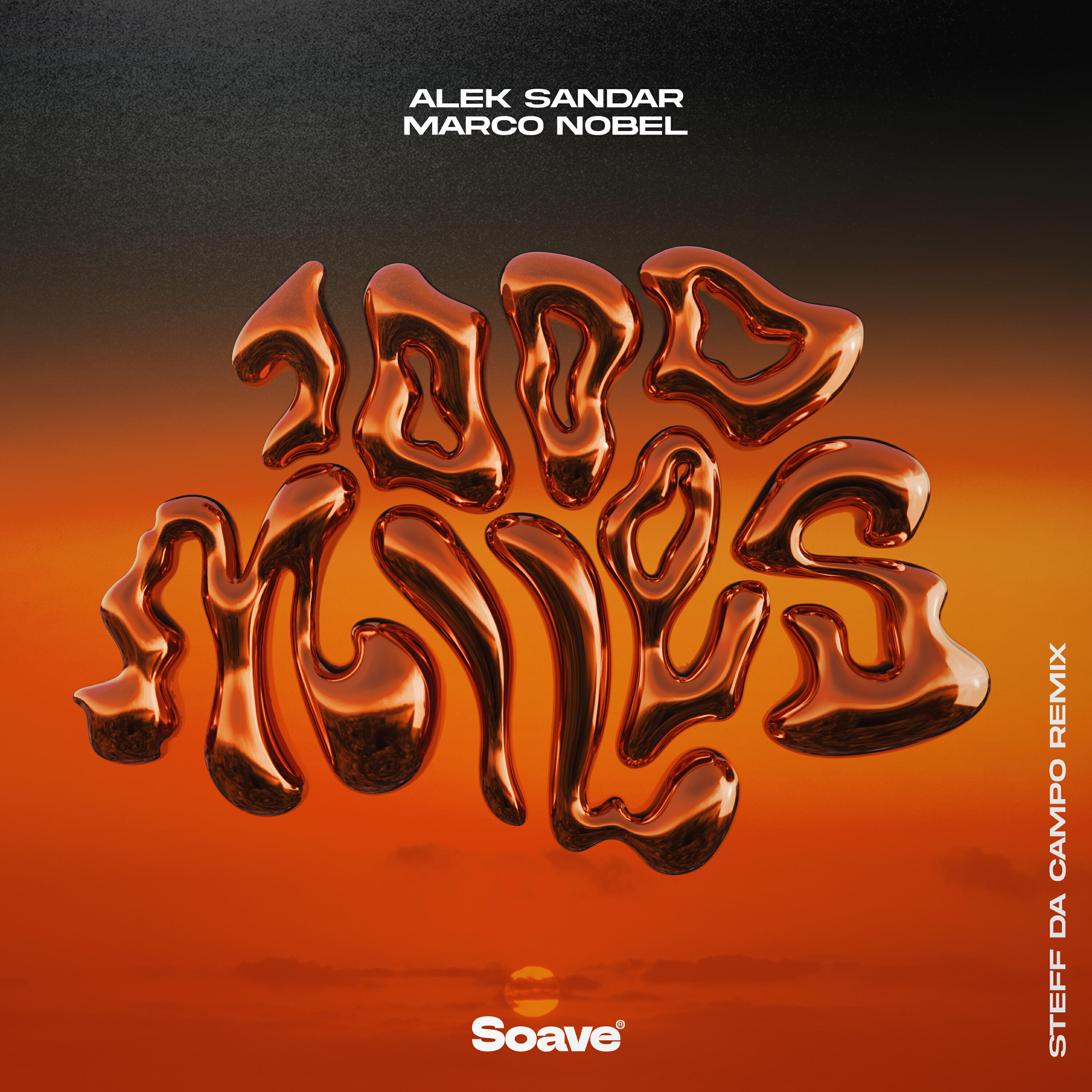 Релиз 1000 Miles (Steff Da Campo Remix)