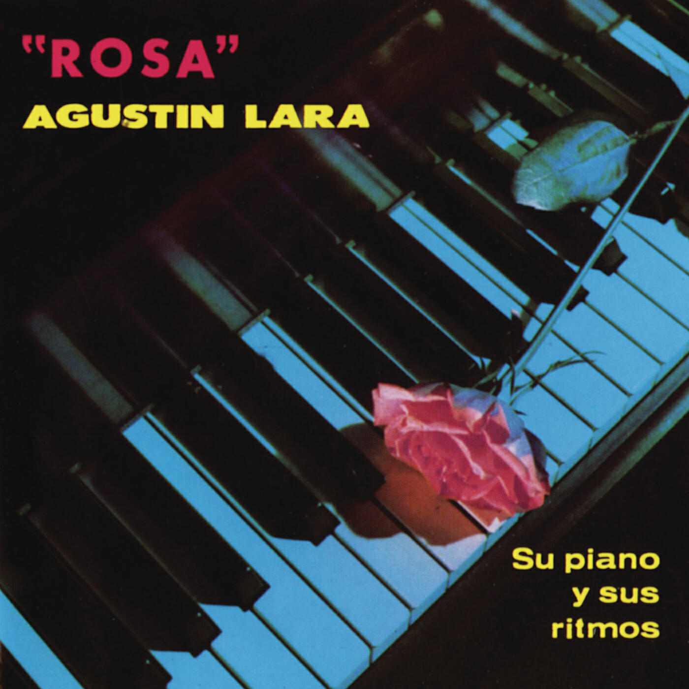 Релиз Rosa
