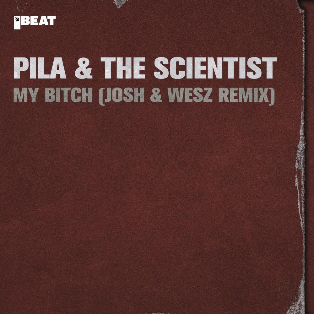 Релиз My Bitch (Josh & Wesz Remix)