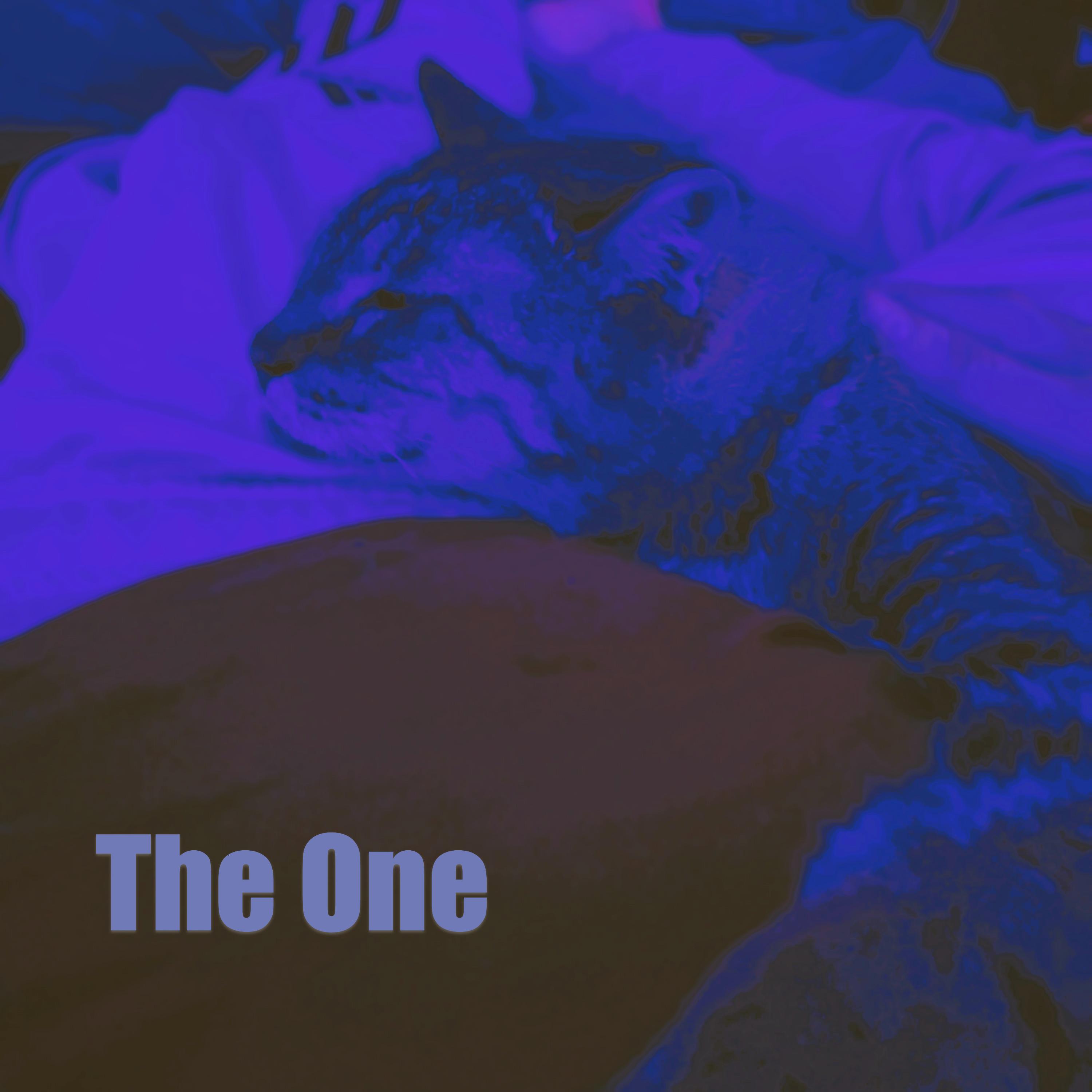 Релиз The One