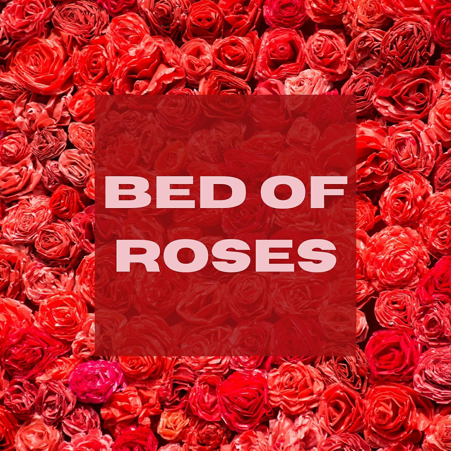 Релиз Bed of Roses