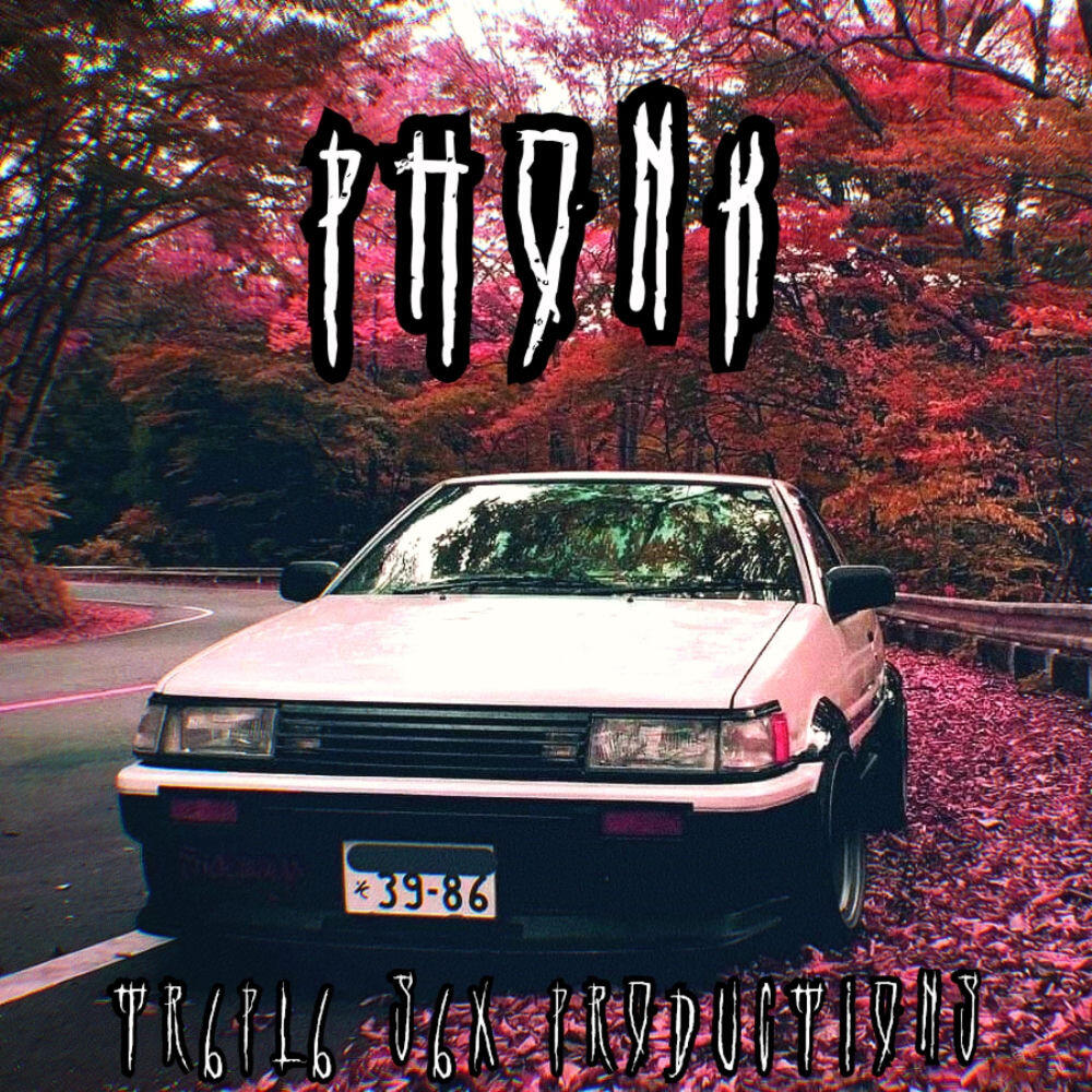 Релиз Phonk666