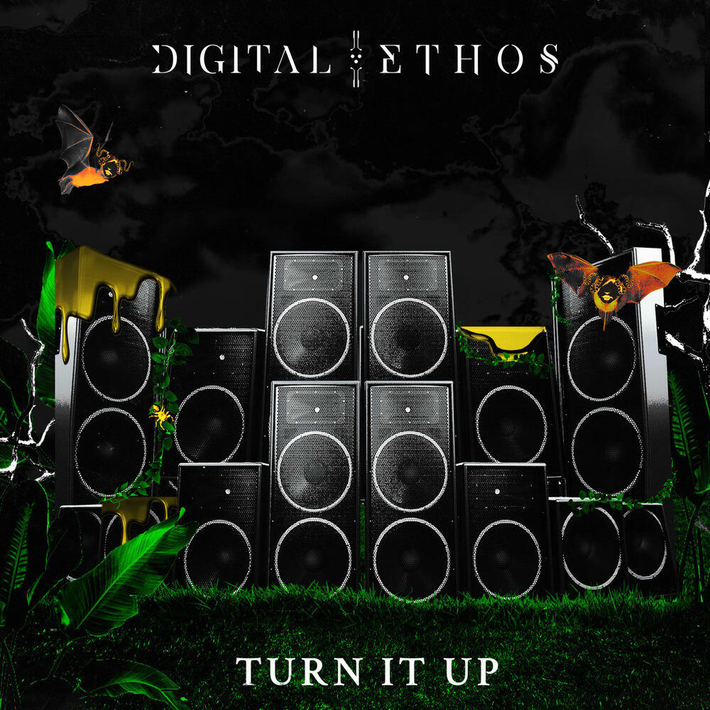 Релиз Turn It Up