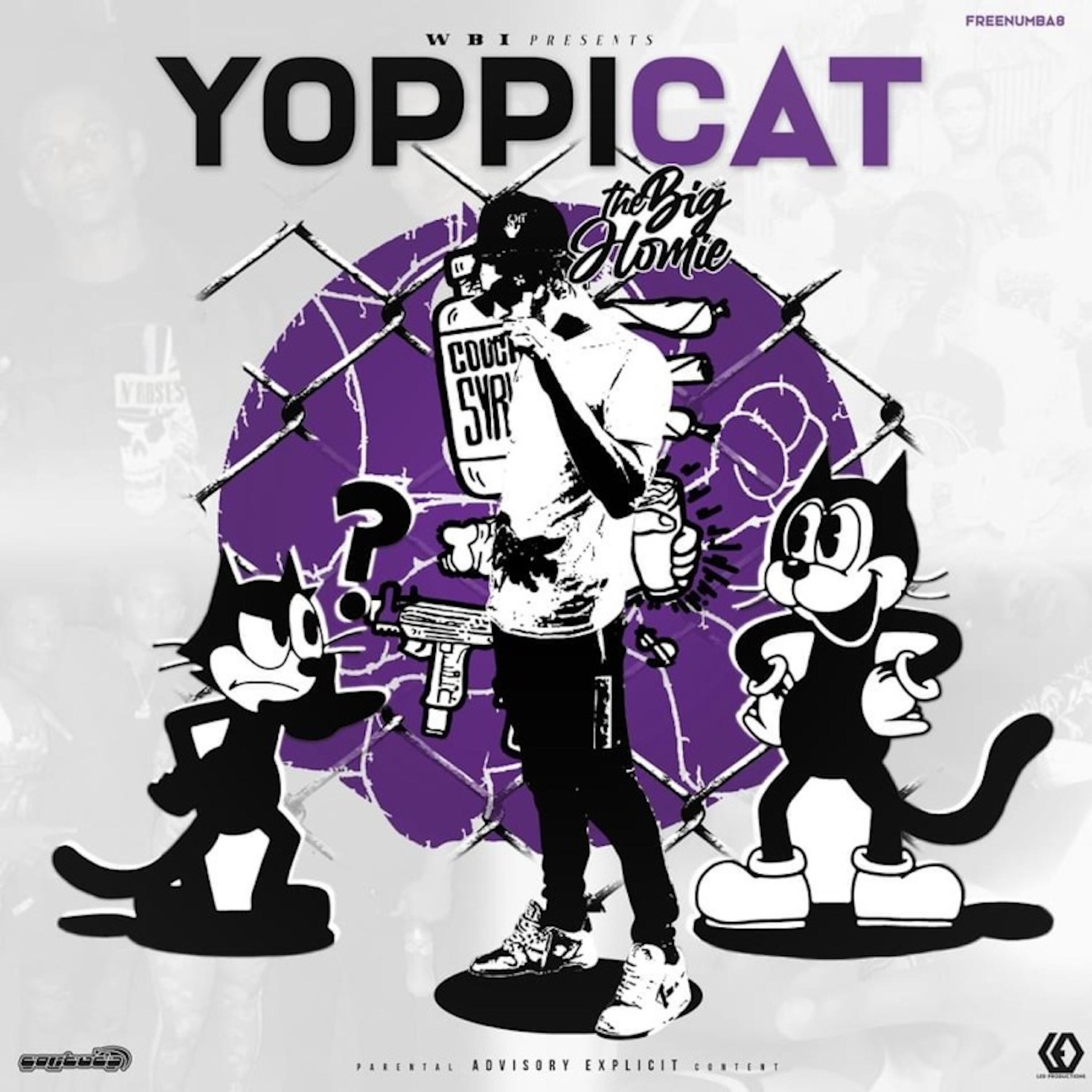 Релиз Yoppicat