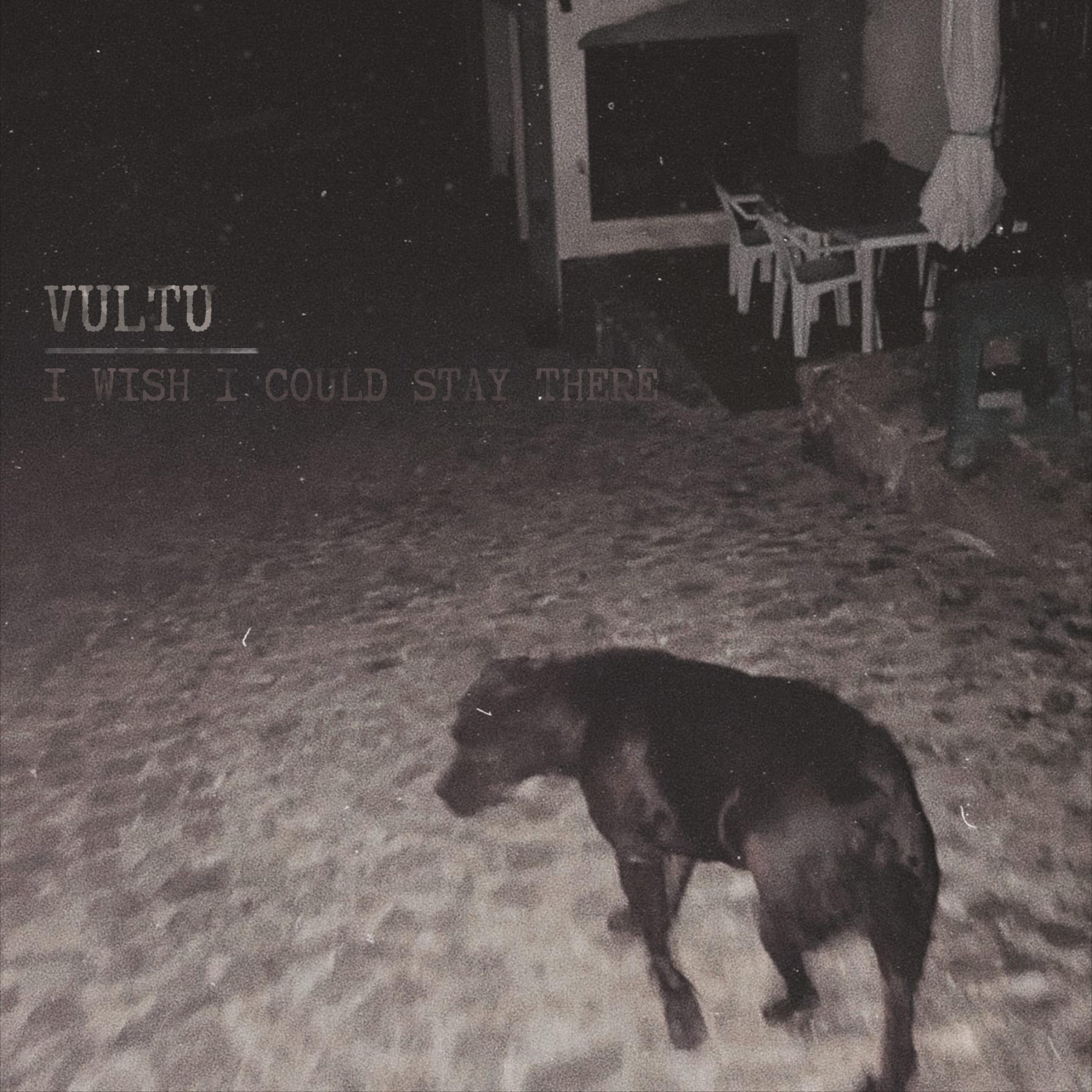 Релиз i wish i could stay there