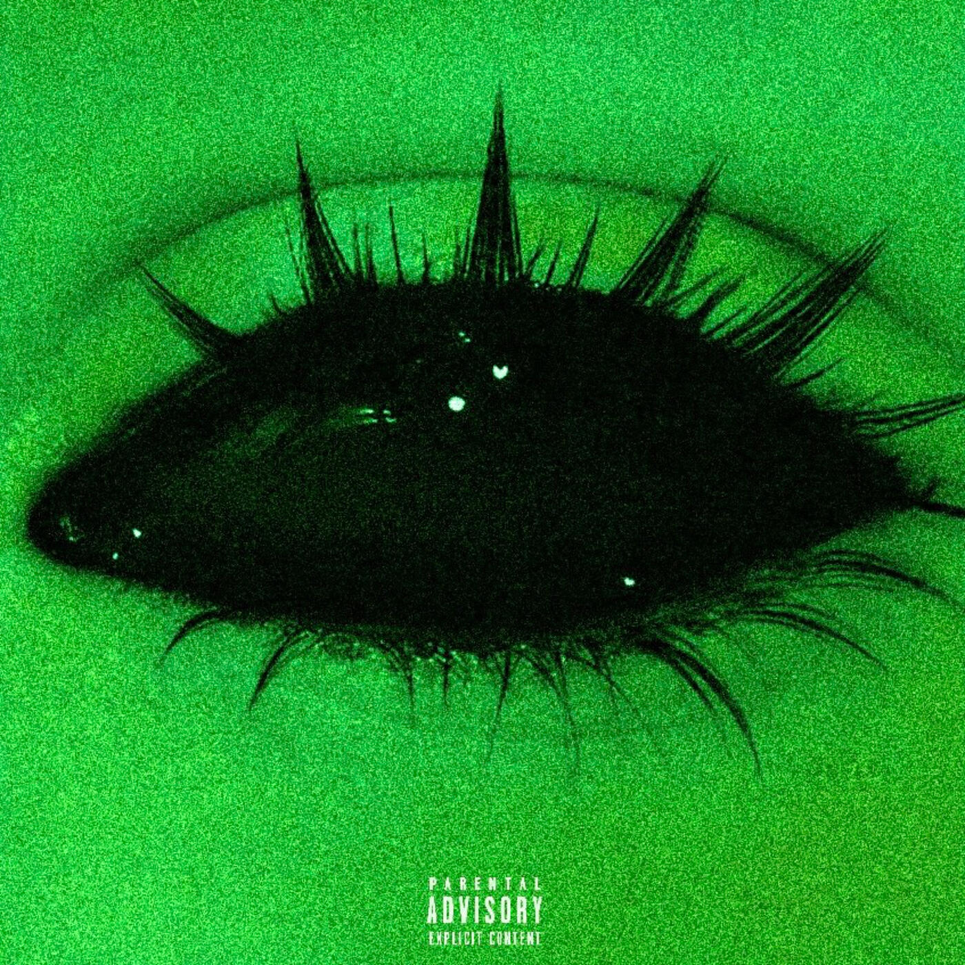 Релиз Seeing Green