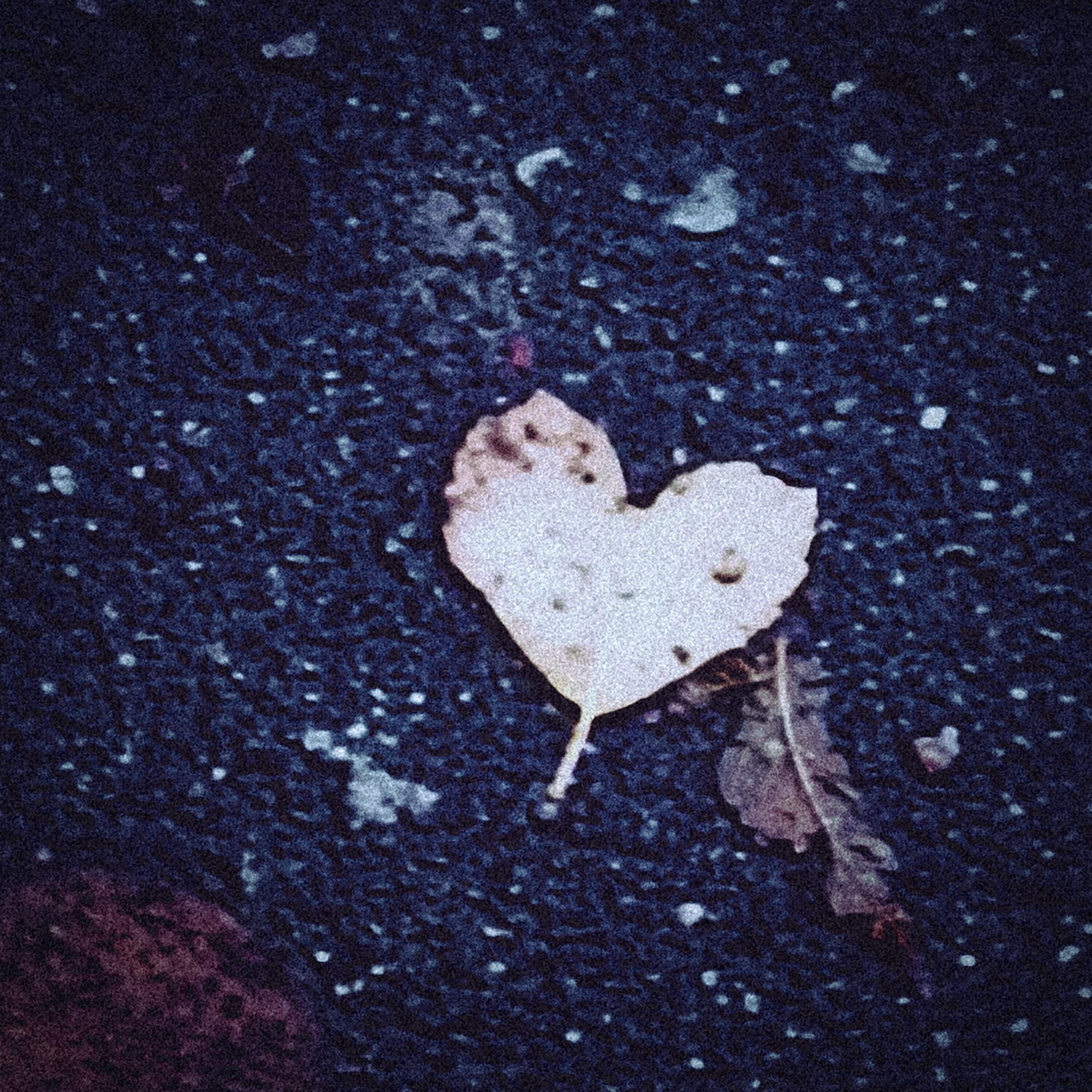 Релиз the forgotten love