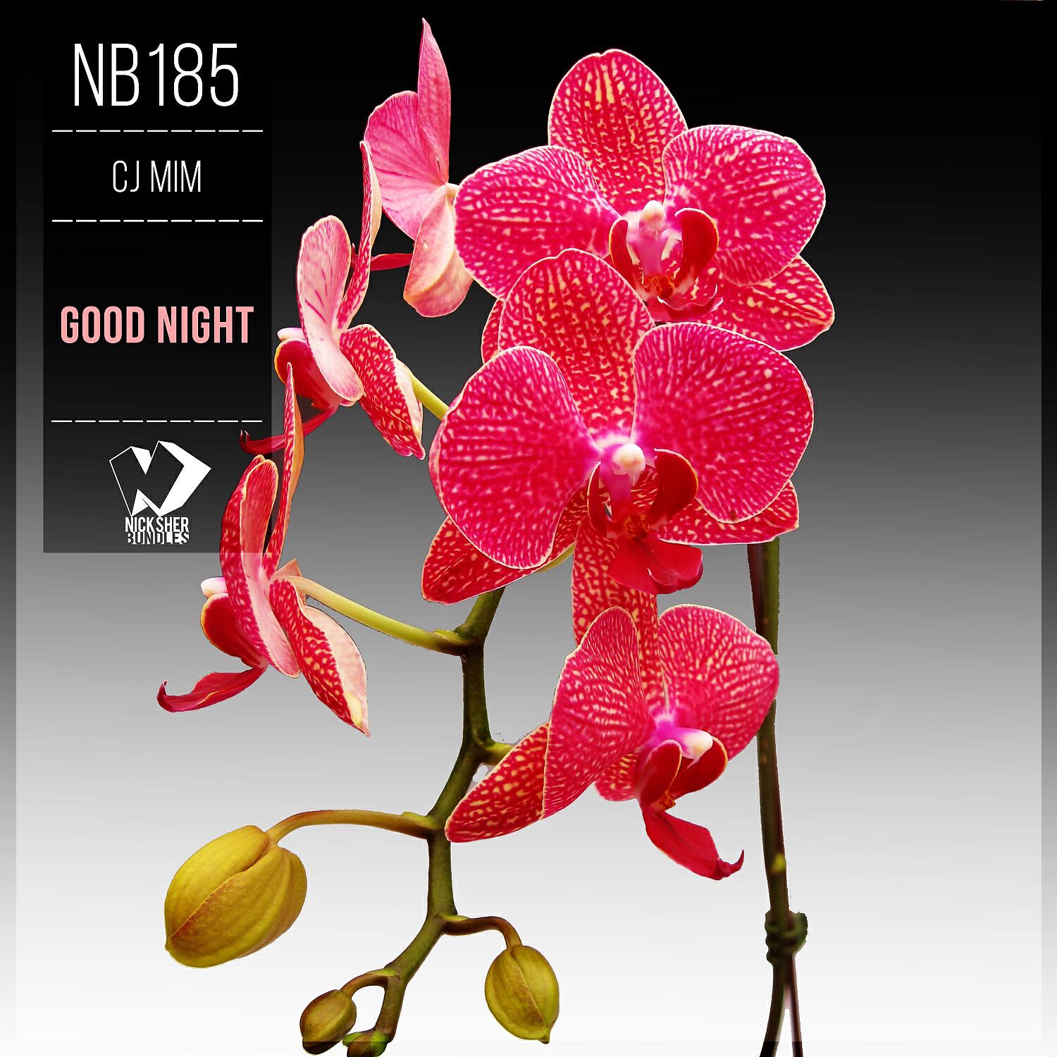 Релиз Good Night