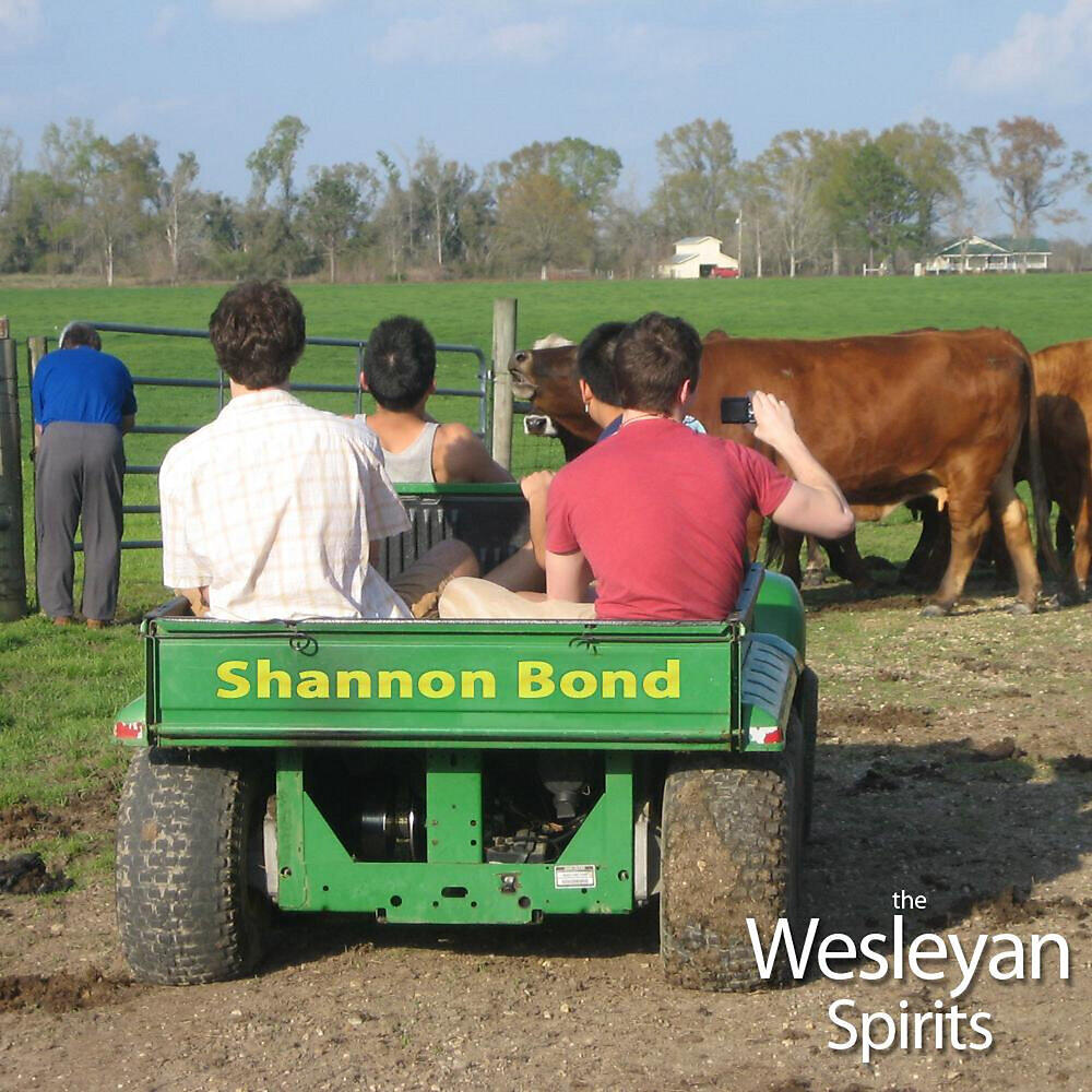 Релиз Shannon Bond