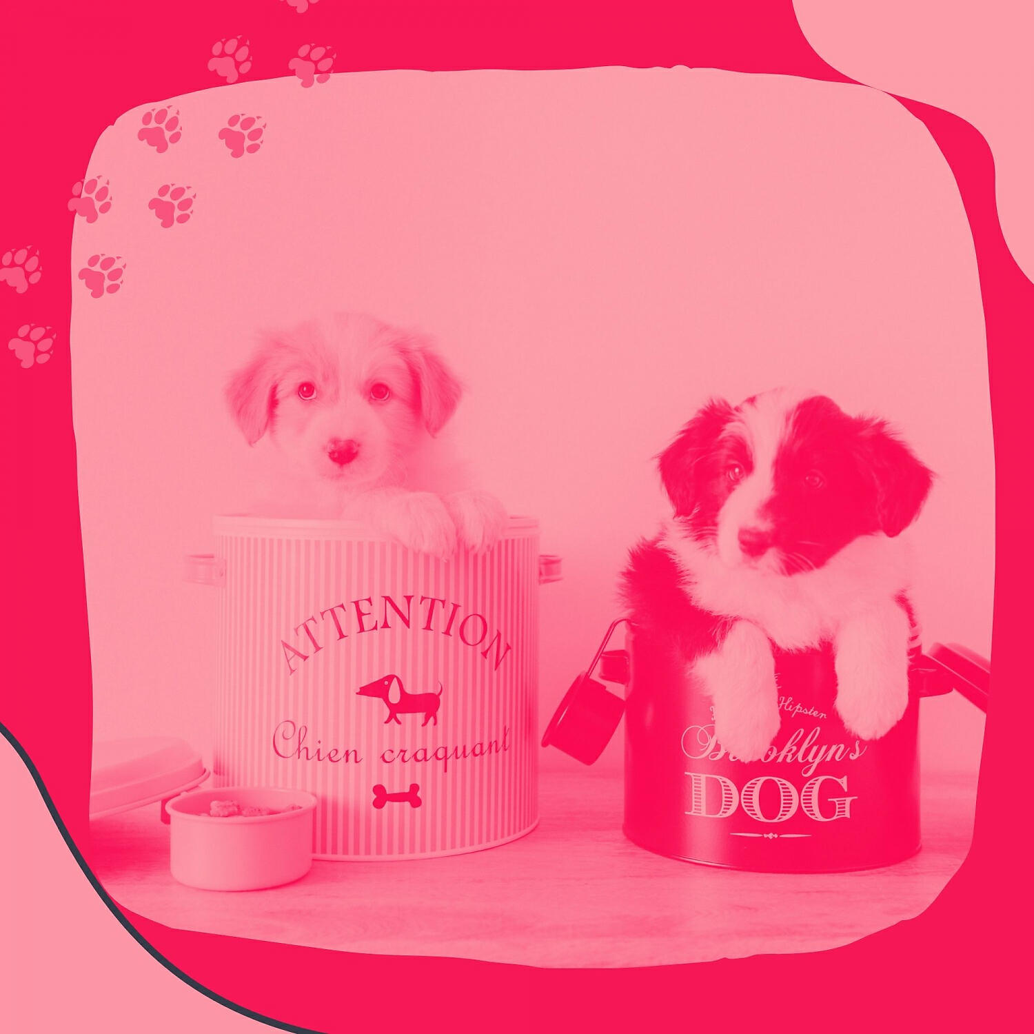Релиз Backdrop for Calming Your Dog - Festive Acoustic Guitar