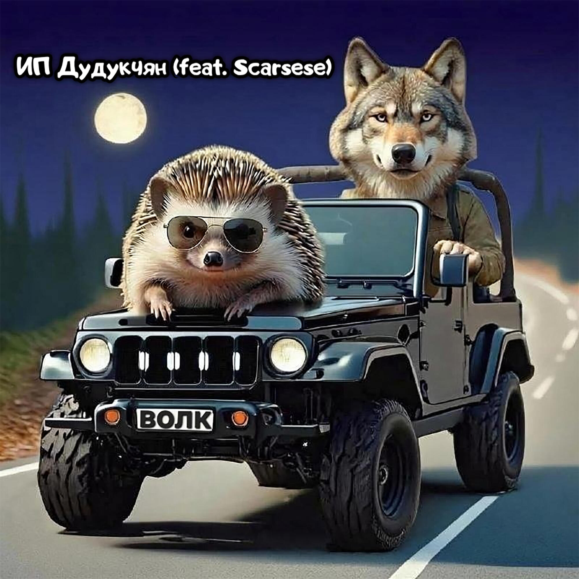 ИП Дудукчян