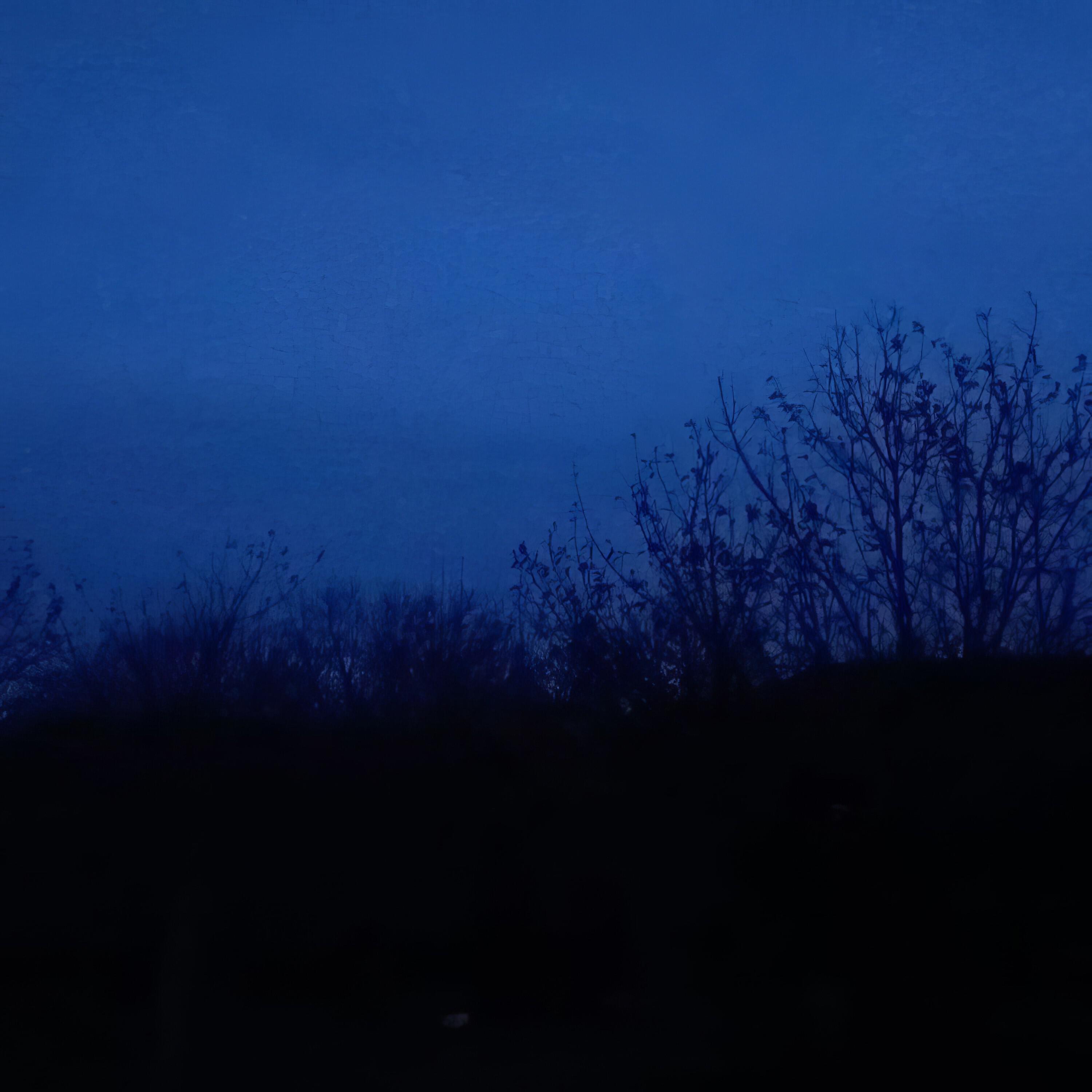 Постер альбома Edge of Nature