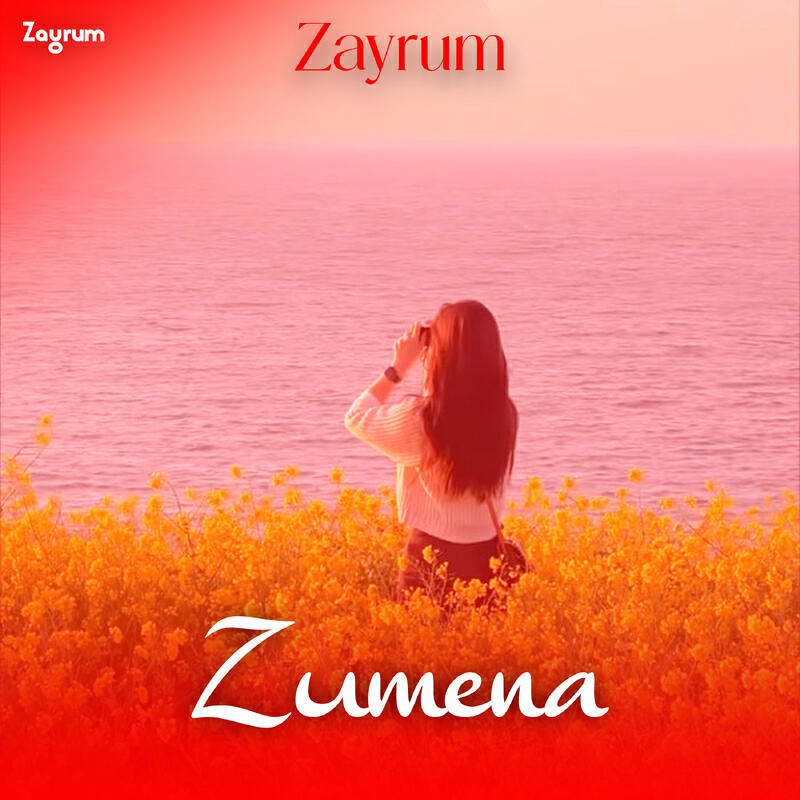 Релиз Zumena
