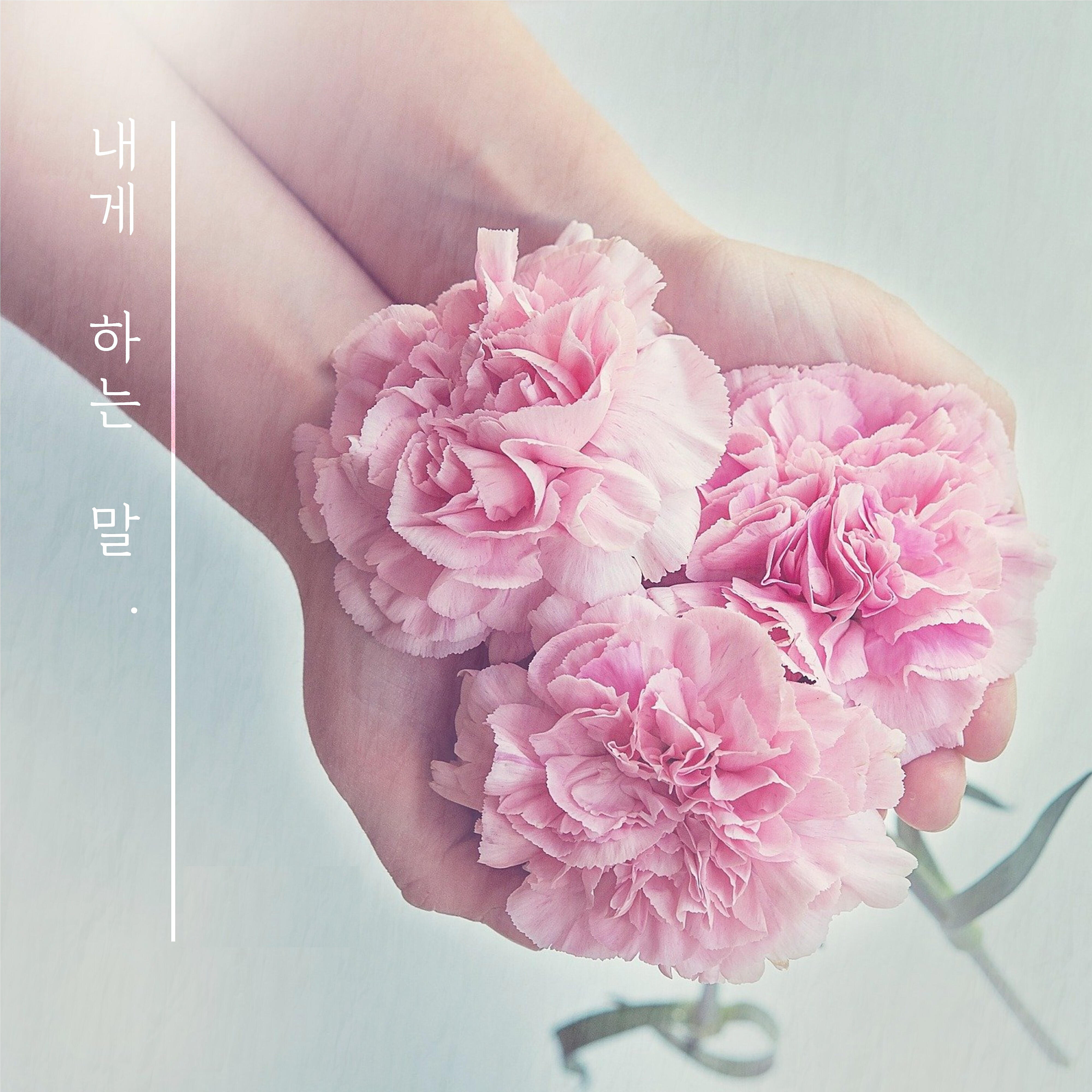 Релиз Words To Me (with KDNA)