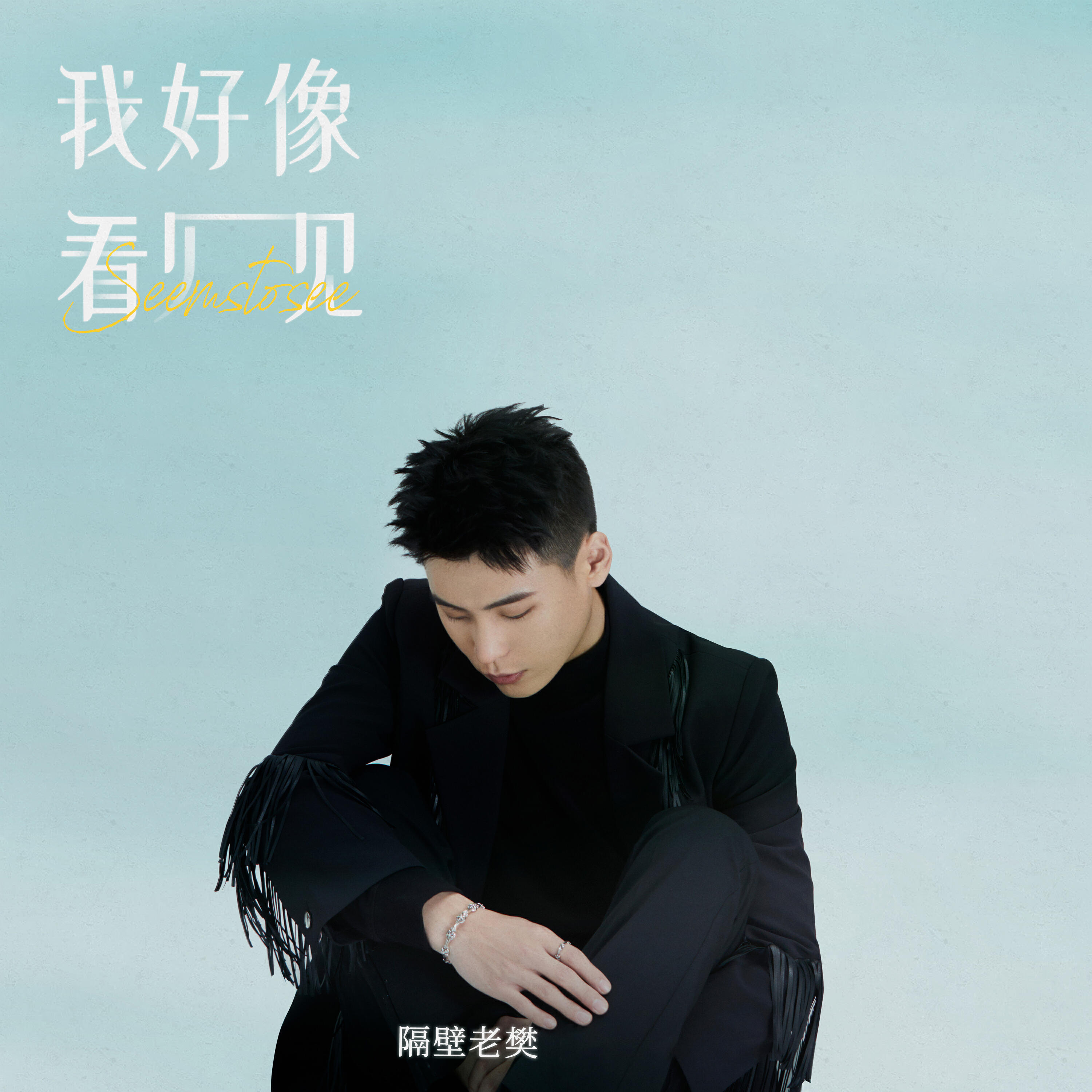 Релиз 我好像看见