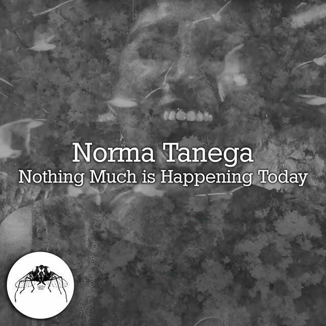 Релиз Nothing Much is Happening Today
