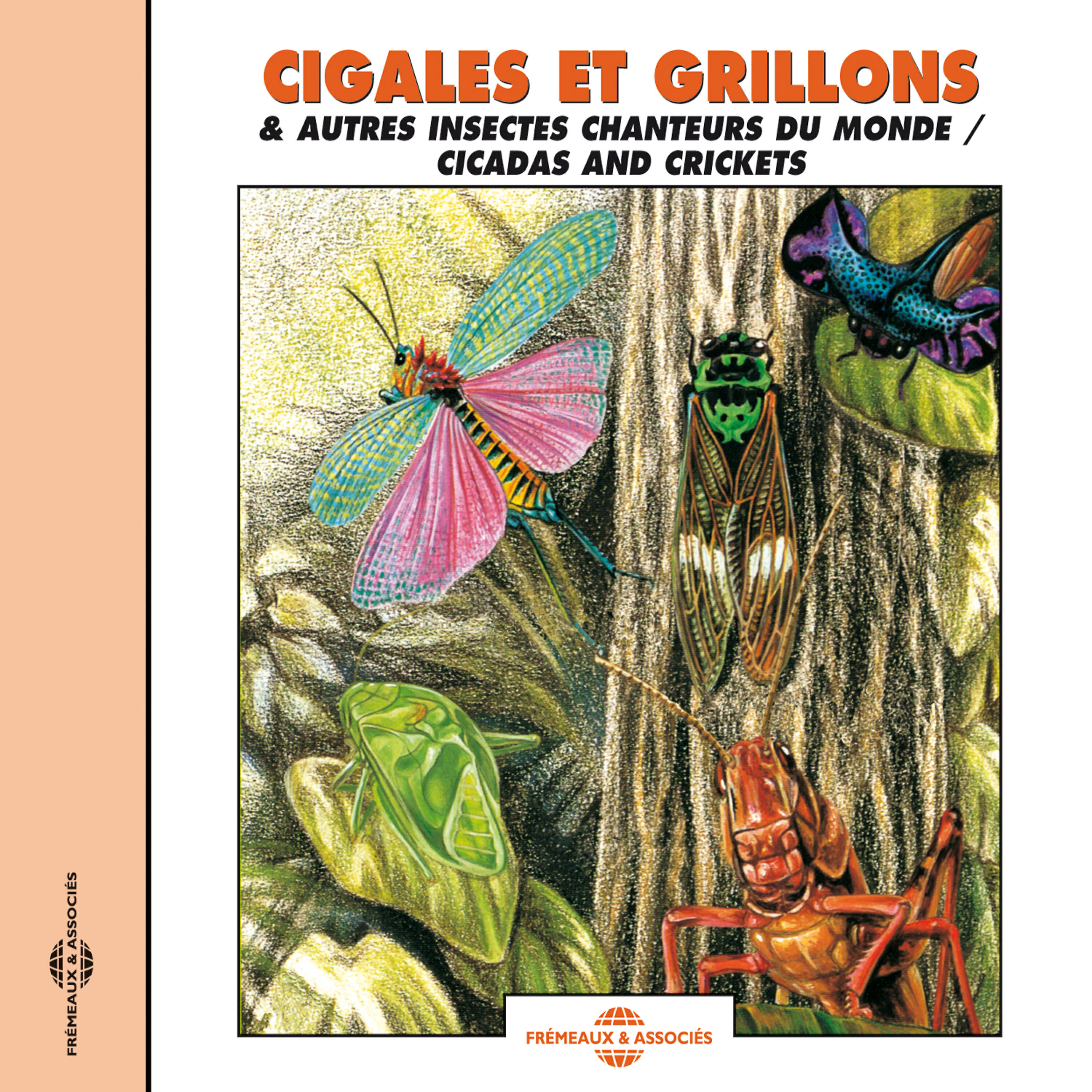 Релиз Cigales Et Grillons