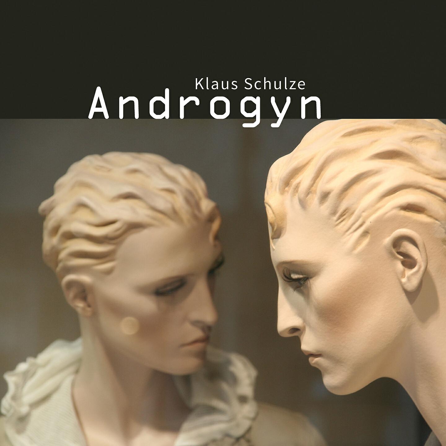 Релиз Androgyn