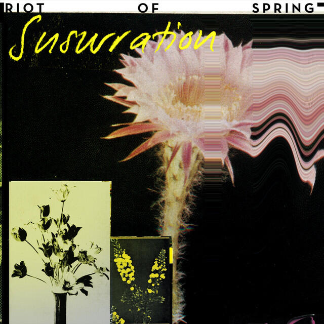 Релиз Riot of Spring