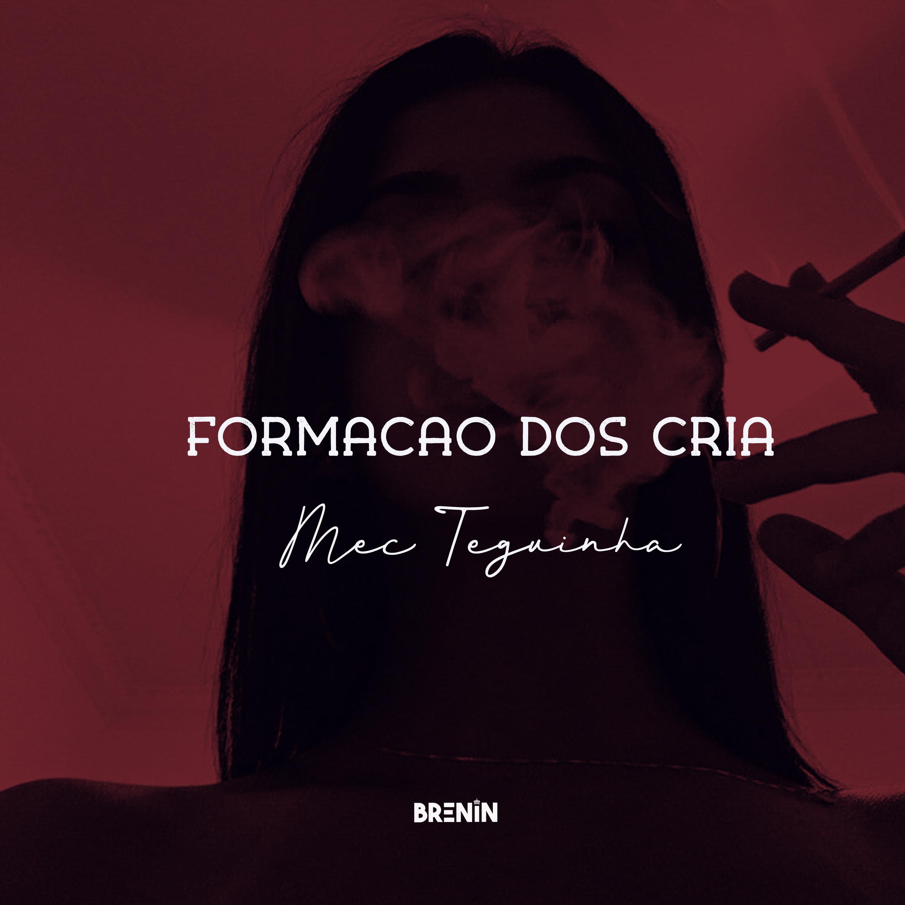 Релиз FORMAÇÃO DOS CRIA, MEC TEGUINHA