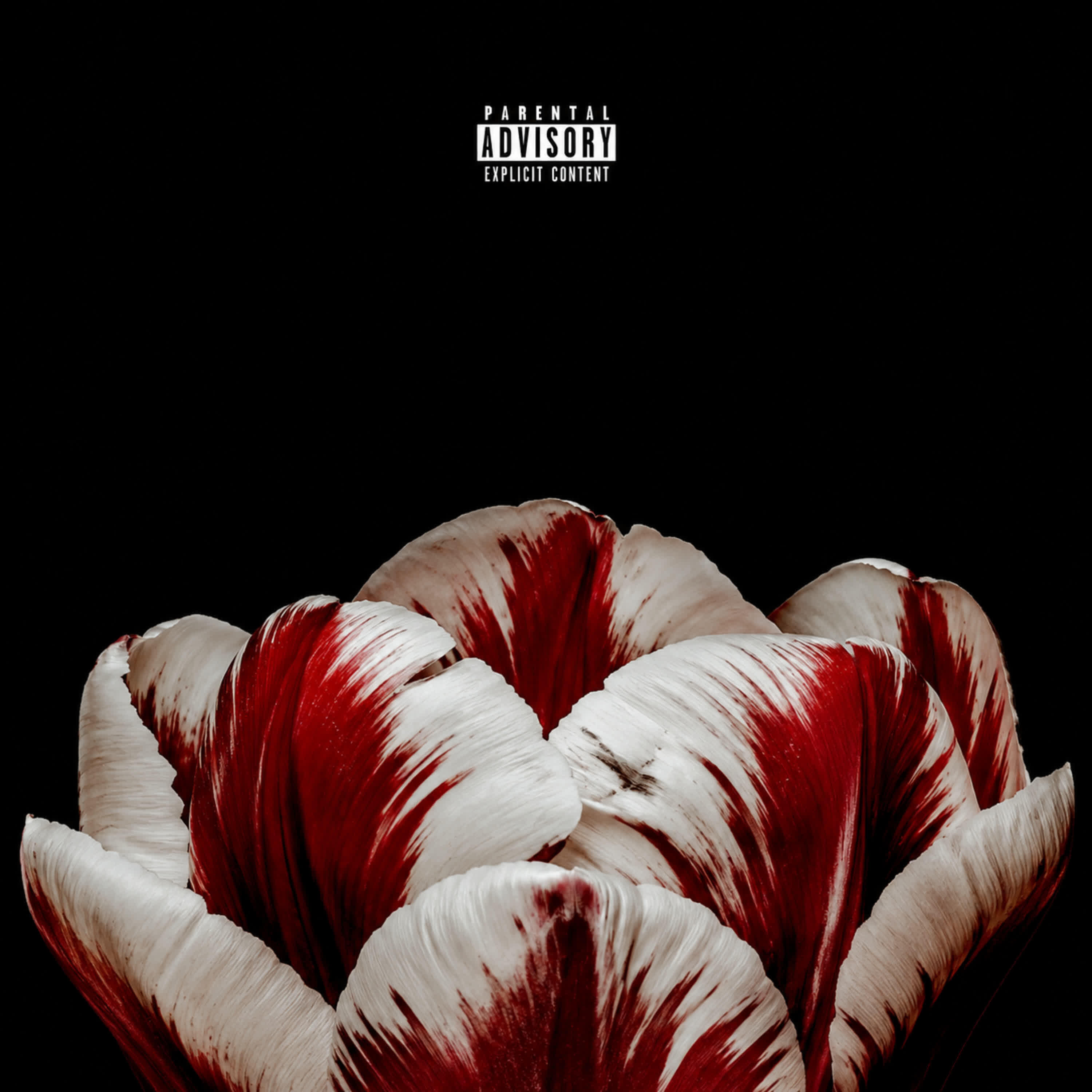 Релиз Zooted 3