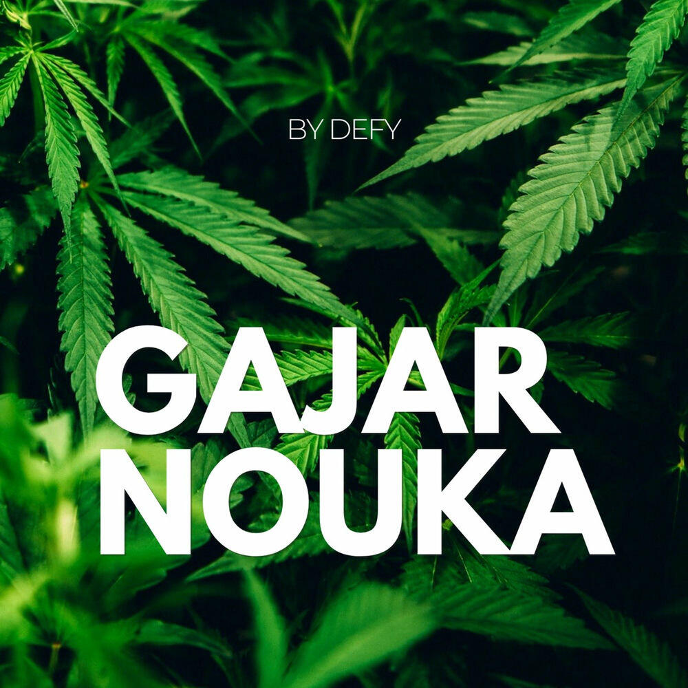 Релиз Gajar Nouka