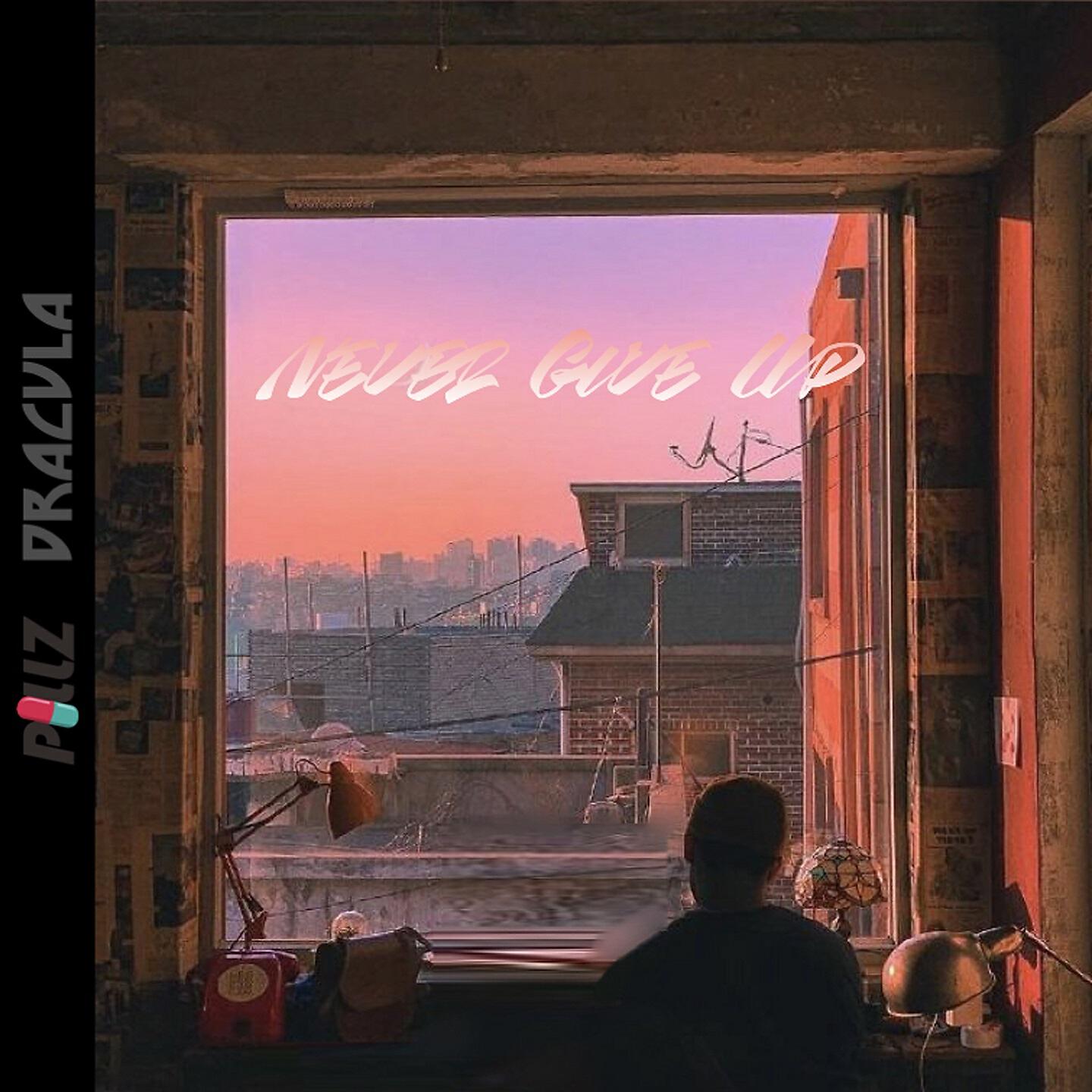 Постер альбома Never Give Up