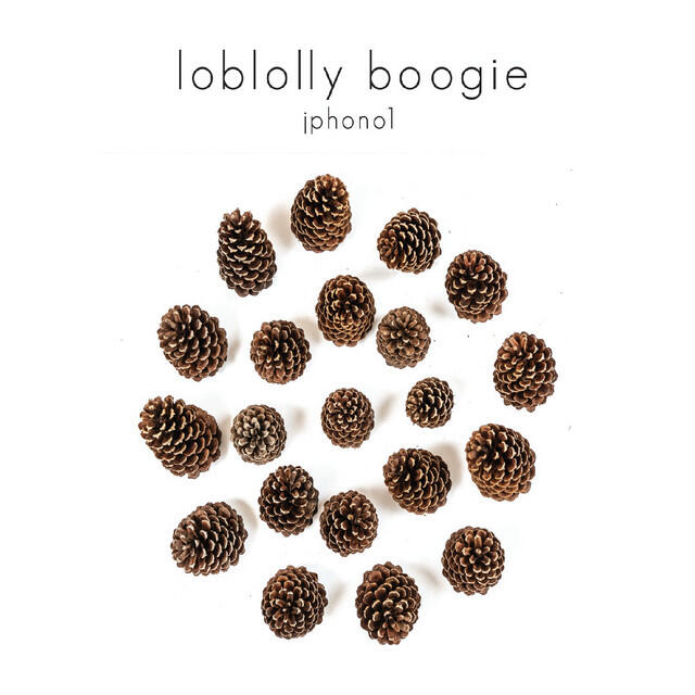 Релиз Loblolly Boogie